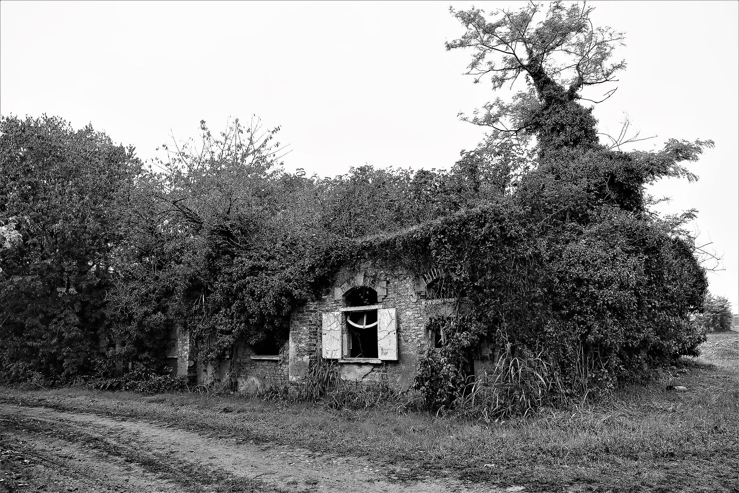 Stalls at Trensanzio