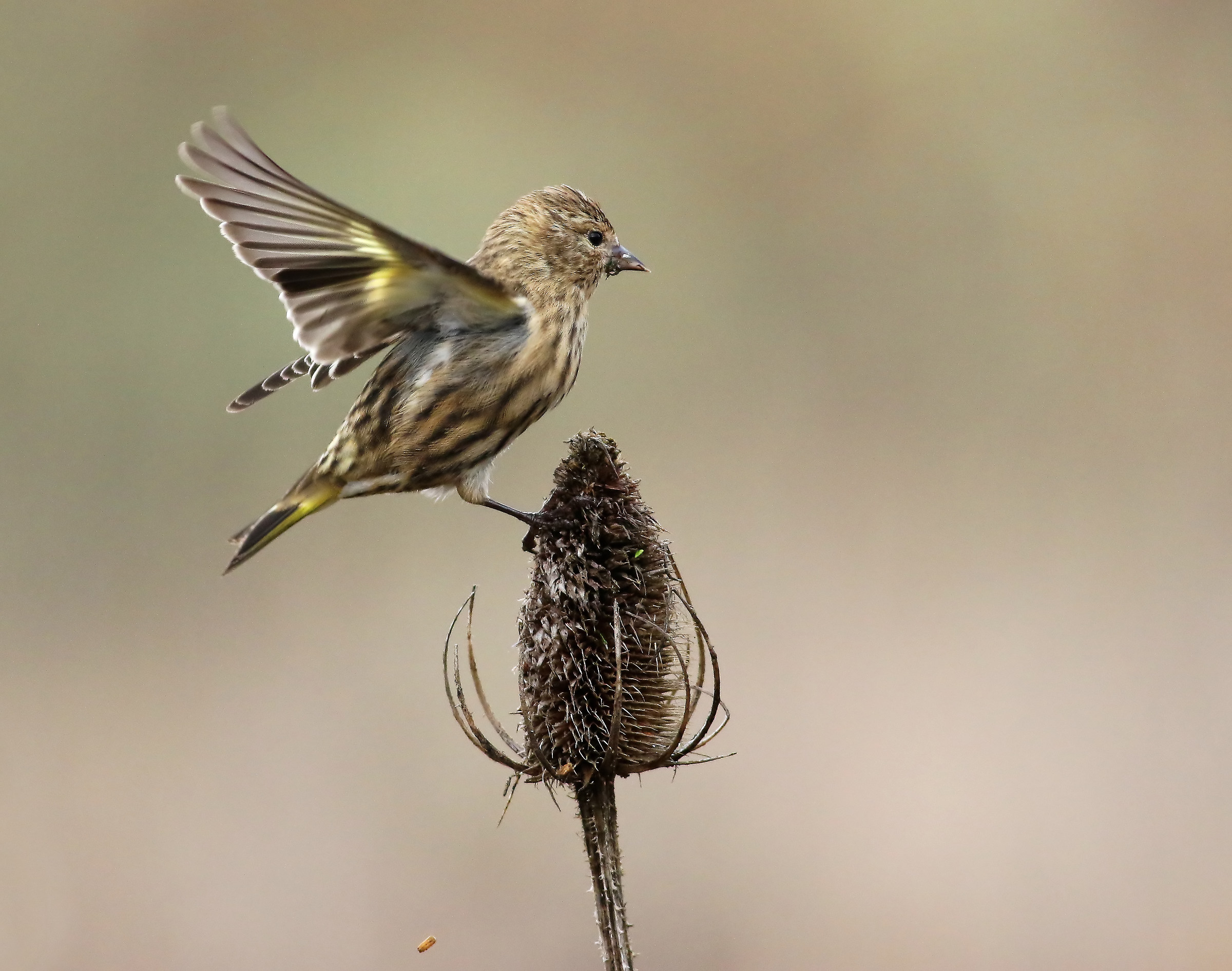 Atterraggio perfetto