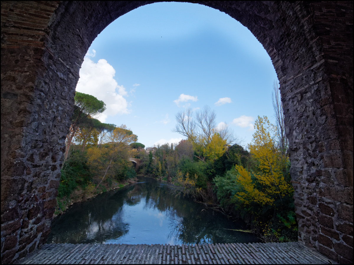 Window to ... Bridge Tazio!