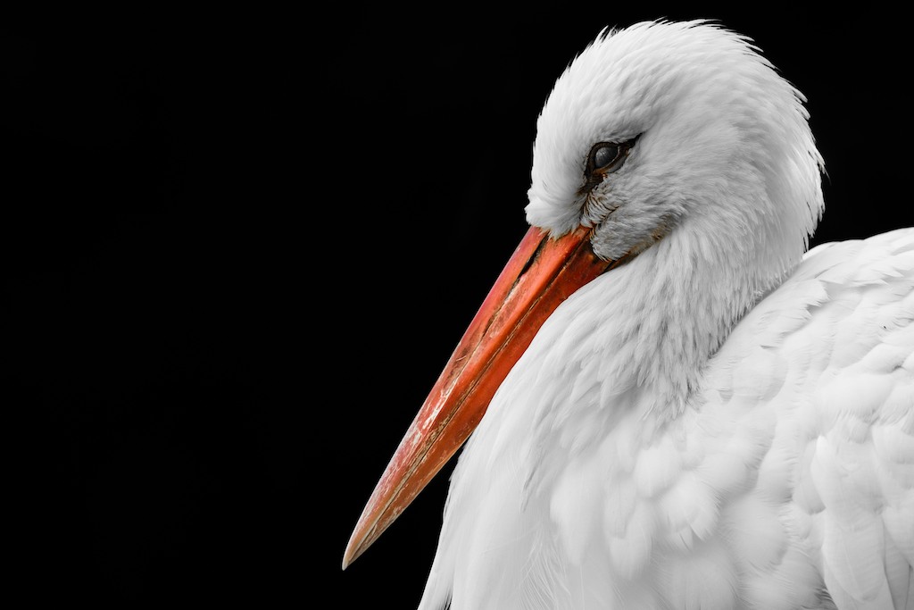 un tocco di colore appena