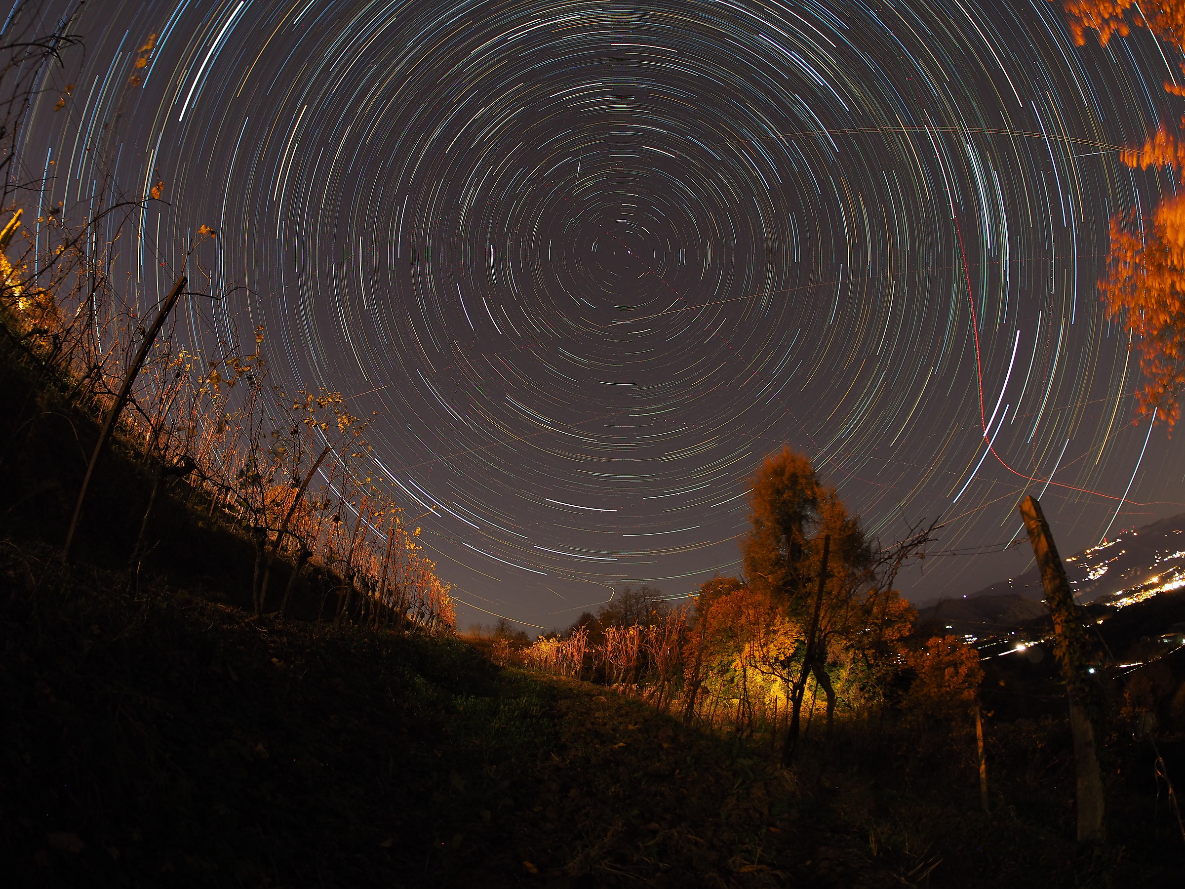 stars (and planes) in the vineyard