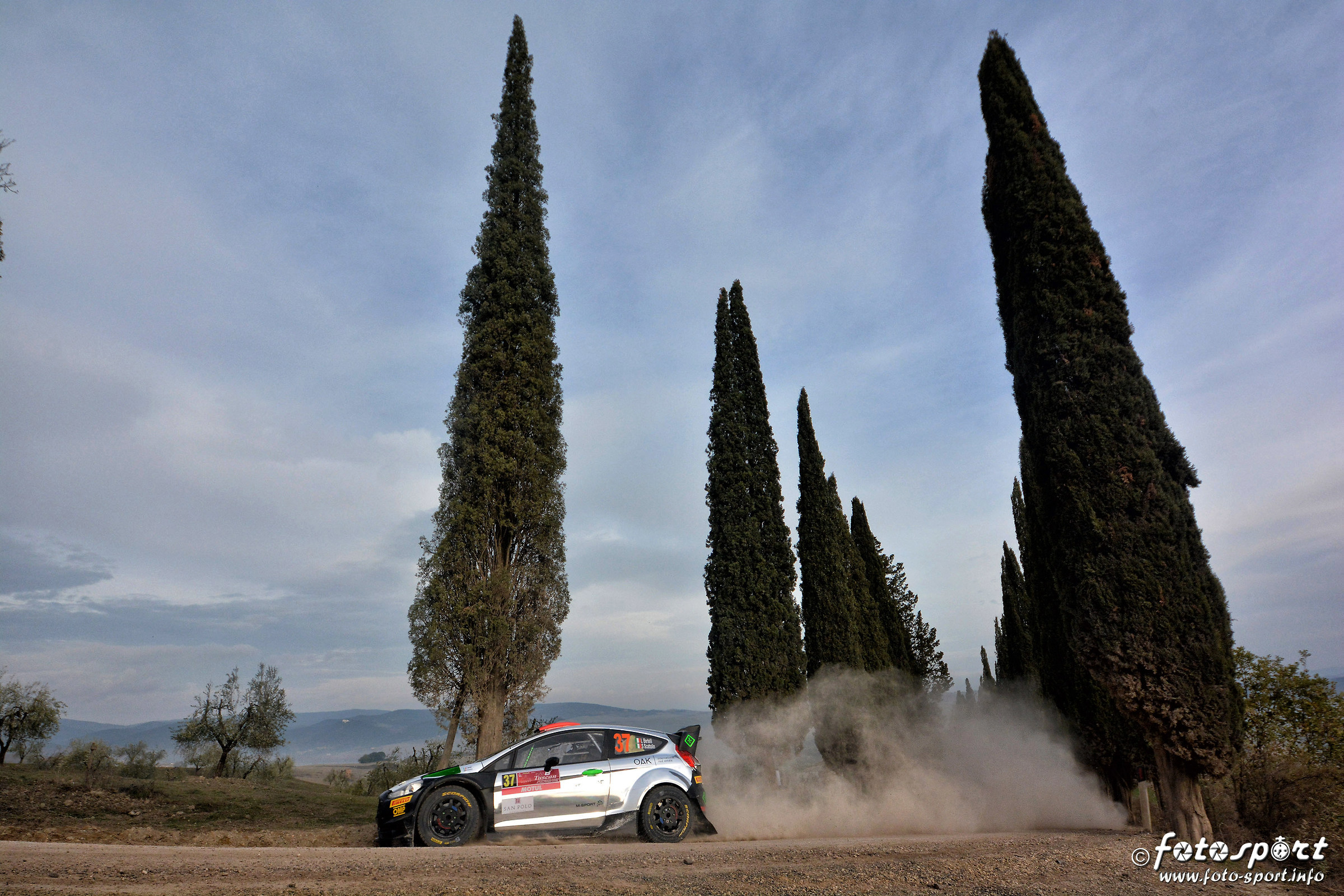 The cypresses of Montalcino