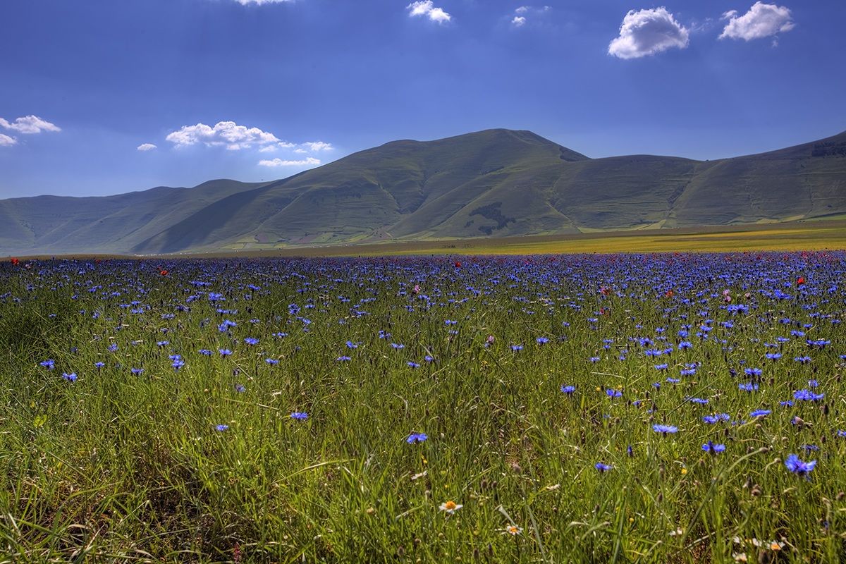 the plain of Castelluccio 1