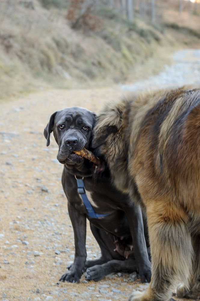 If you insist I leave you ...