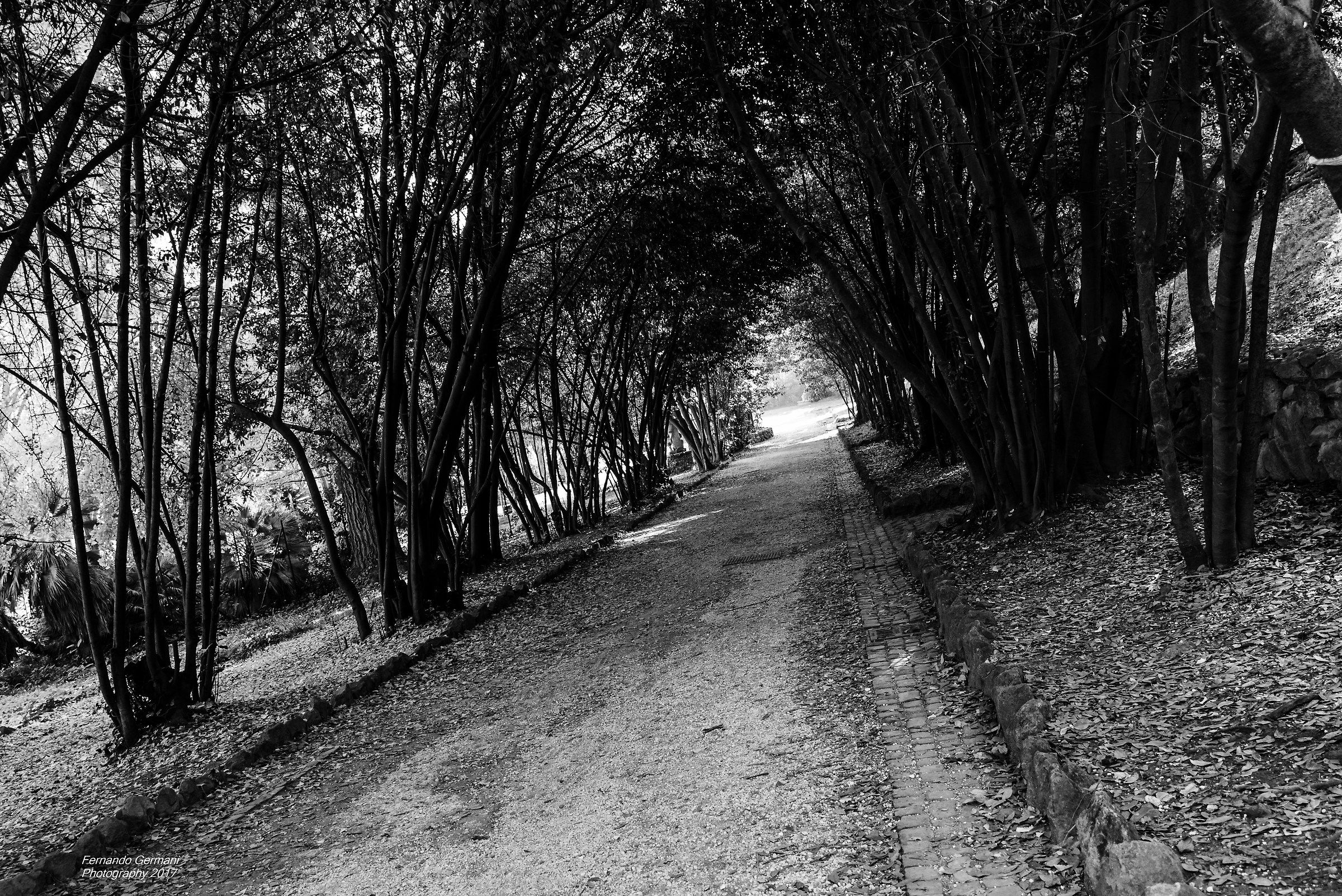 Autunno a villa Sciarra