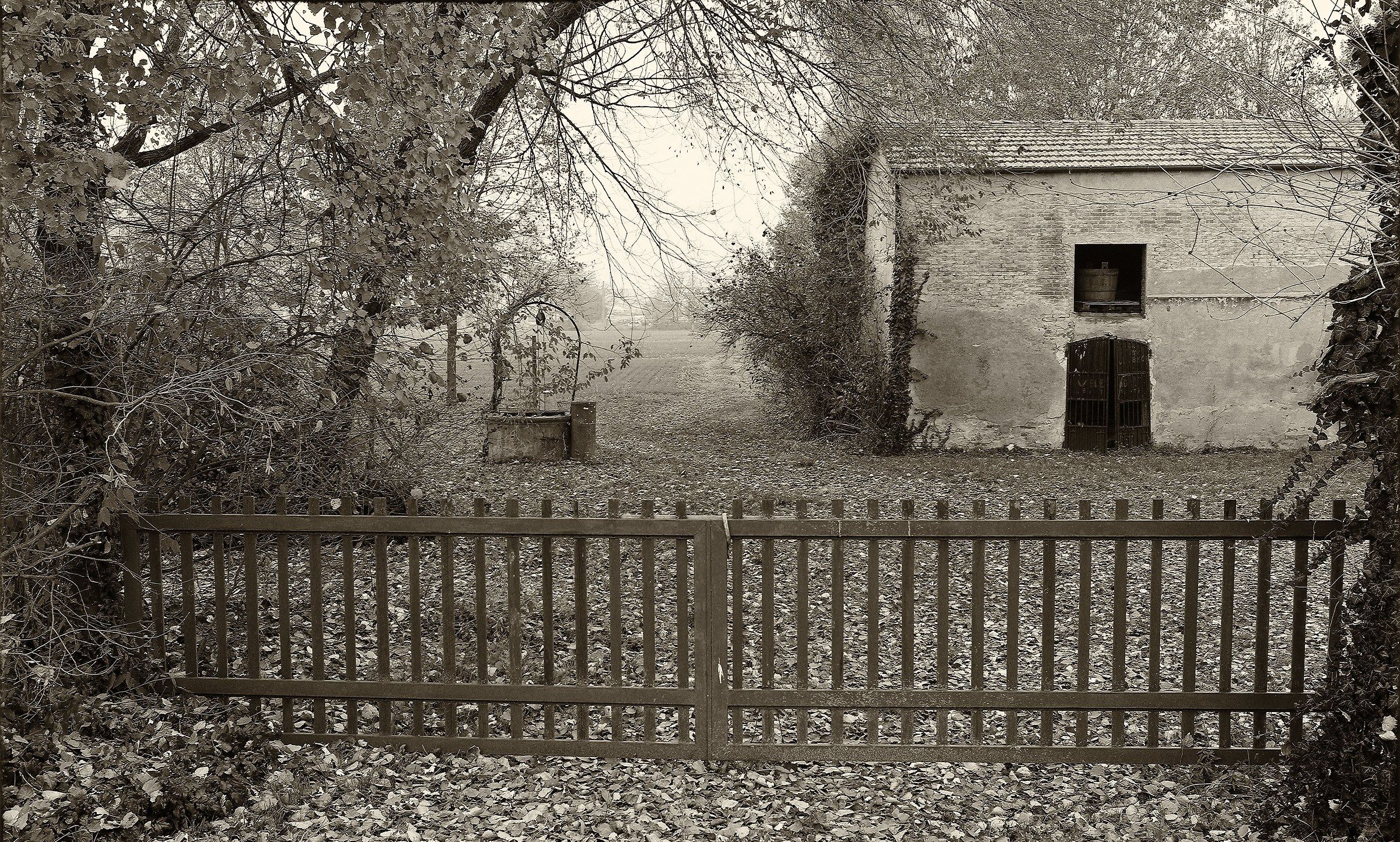 Walking with M6 and 22 f2