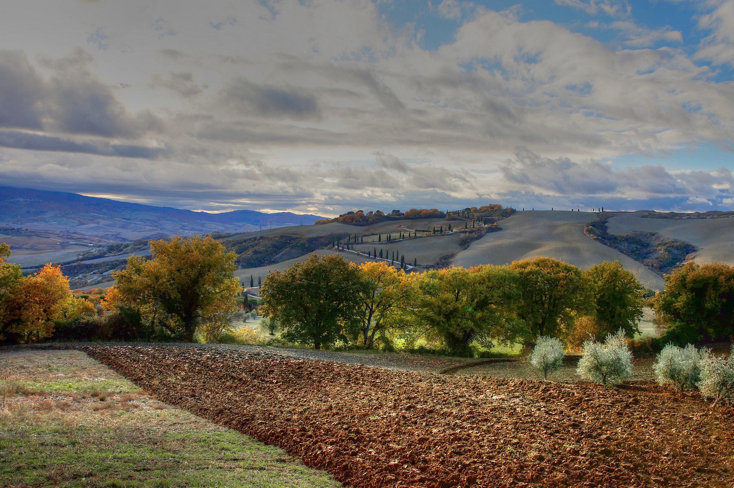 Paesaggio Val d'orcia