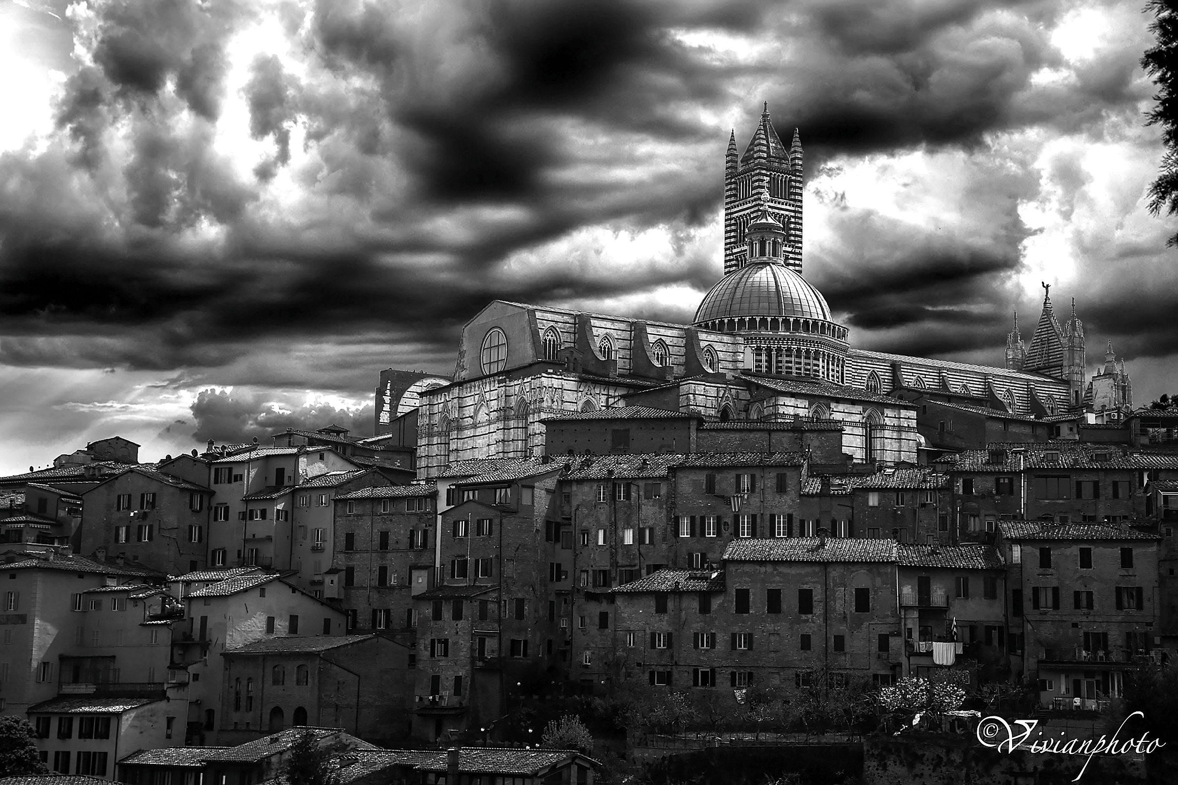 Siena