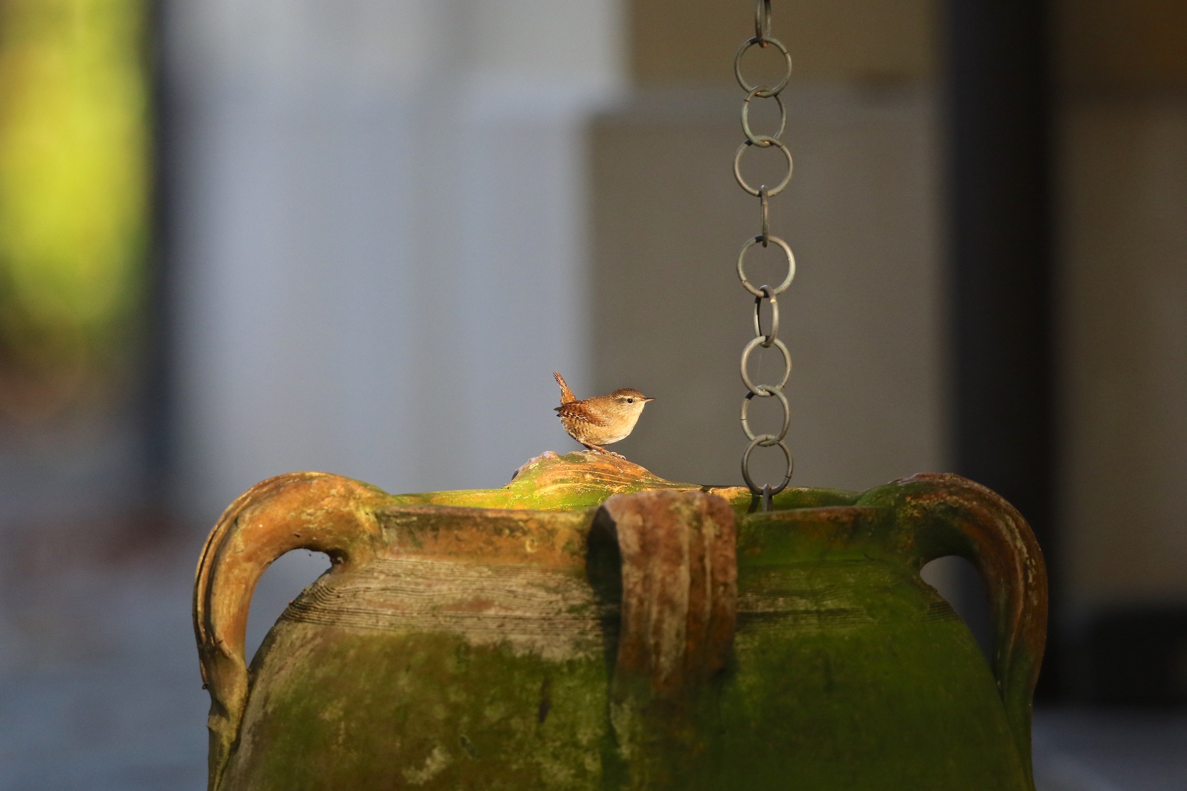 Crumbling in the garden