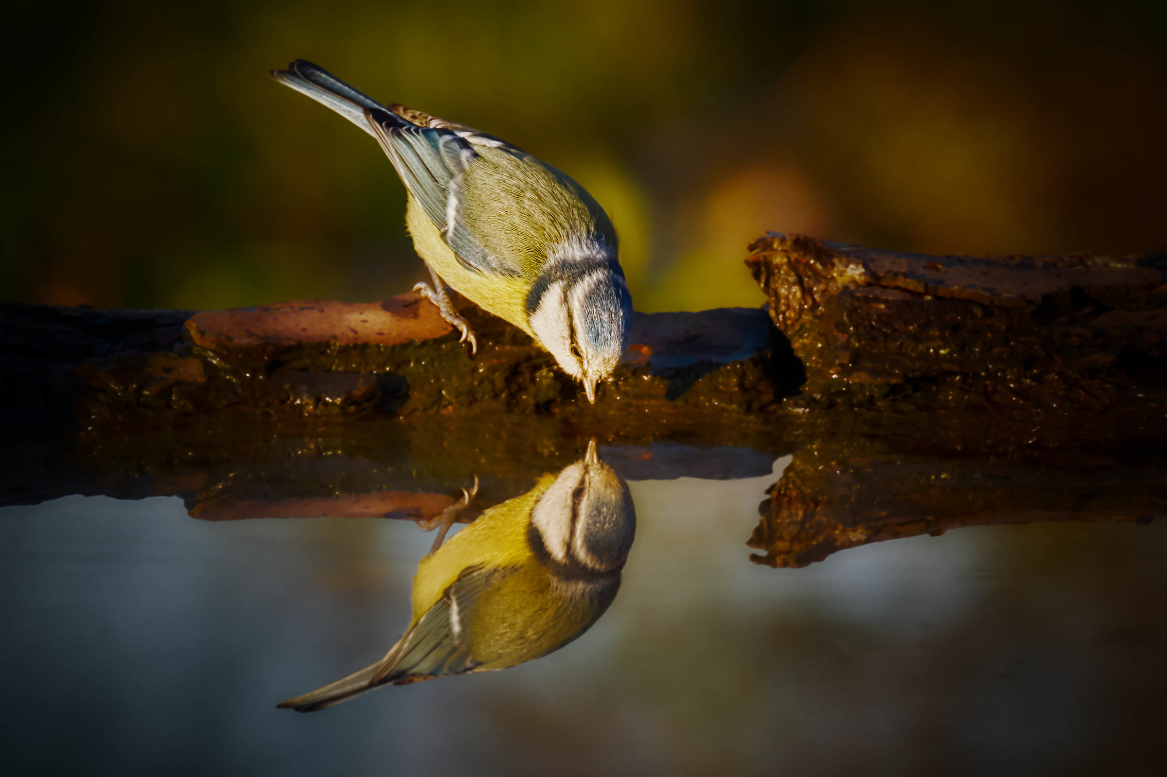 How beautiful I was ... How did I become ...