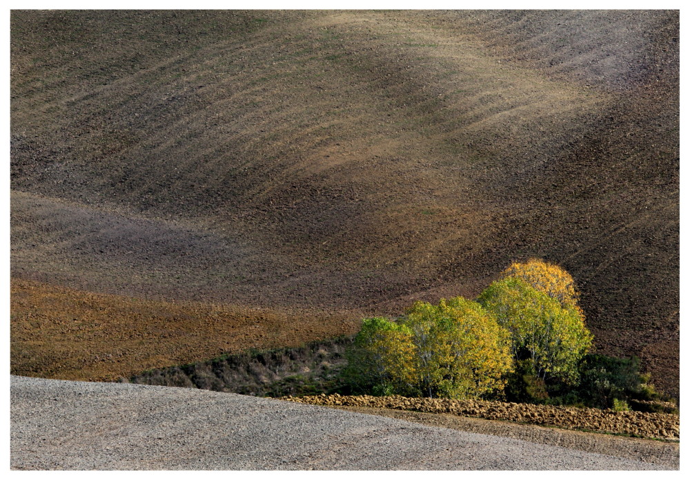 Autumn in Val d'Orcia_03