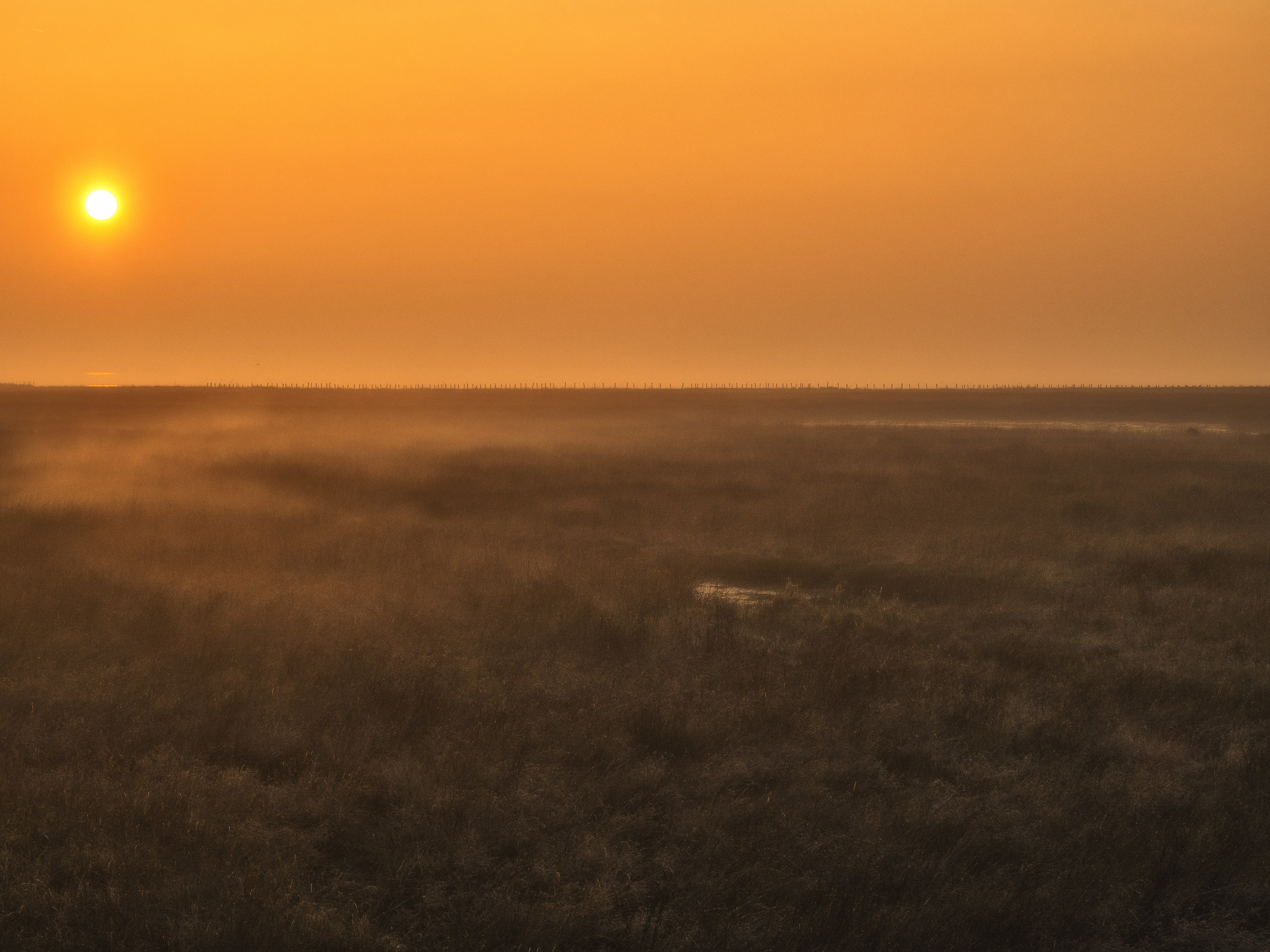 Laguna di Campalto (ve)
