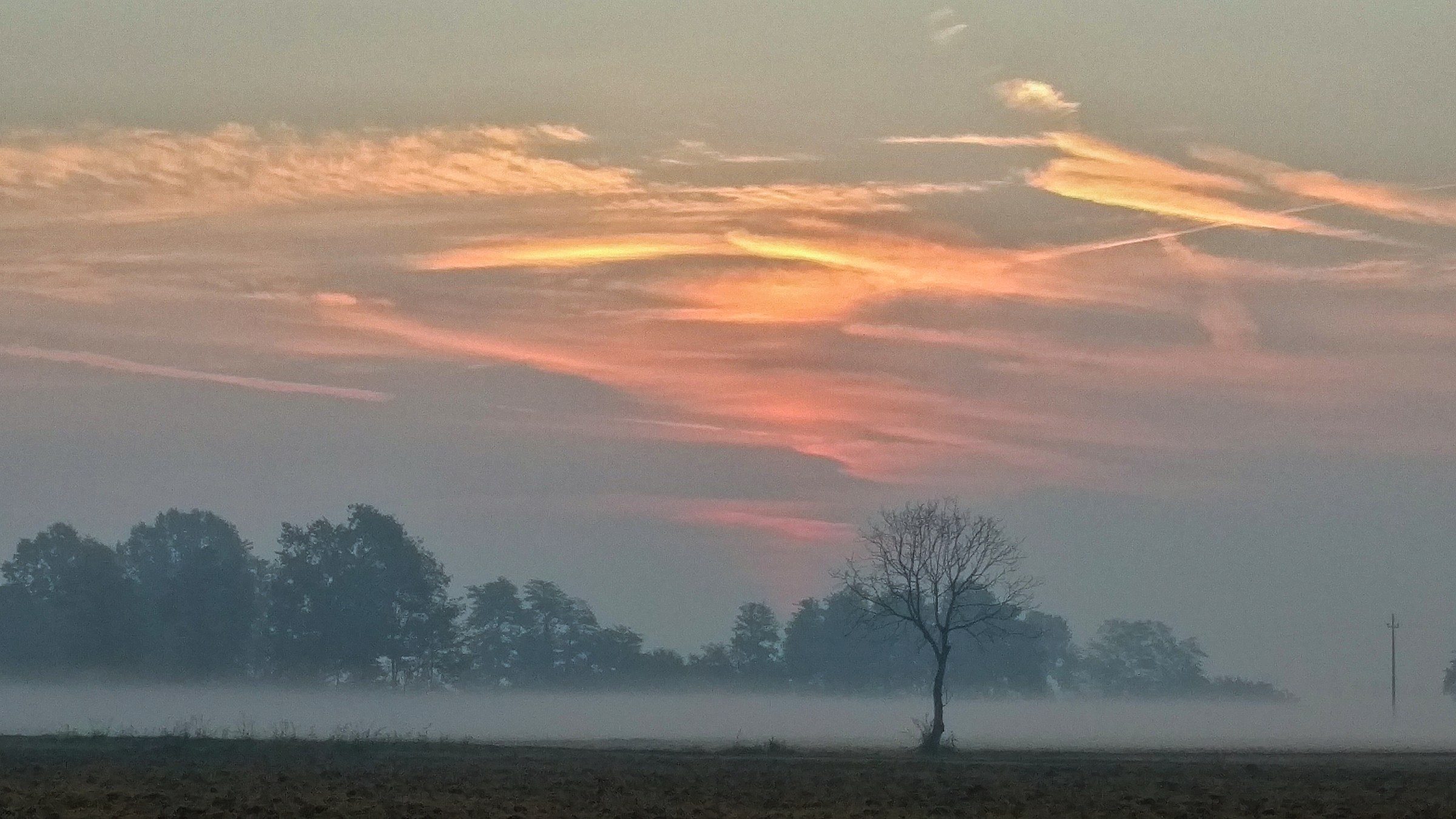 Sunrise - Sun and fog