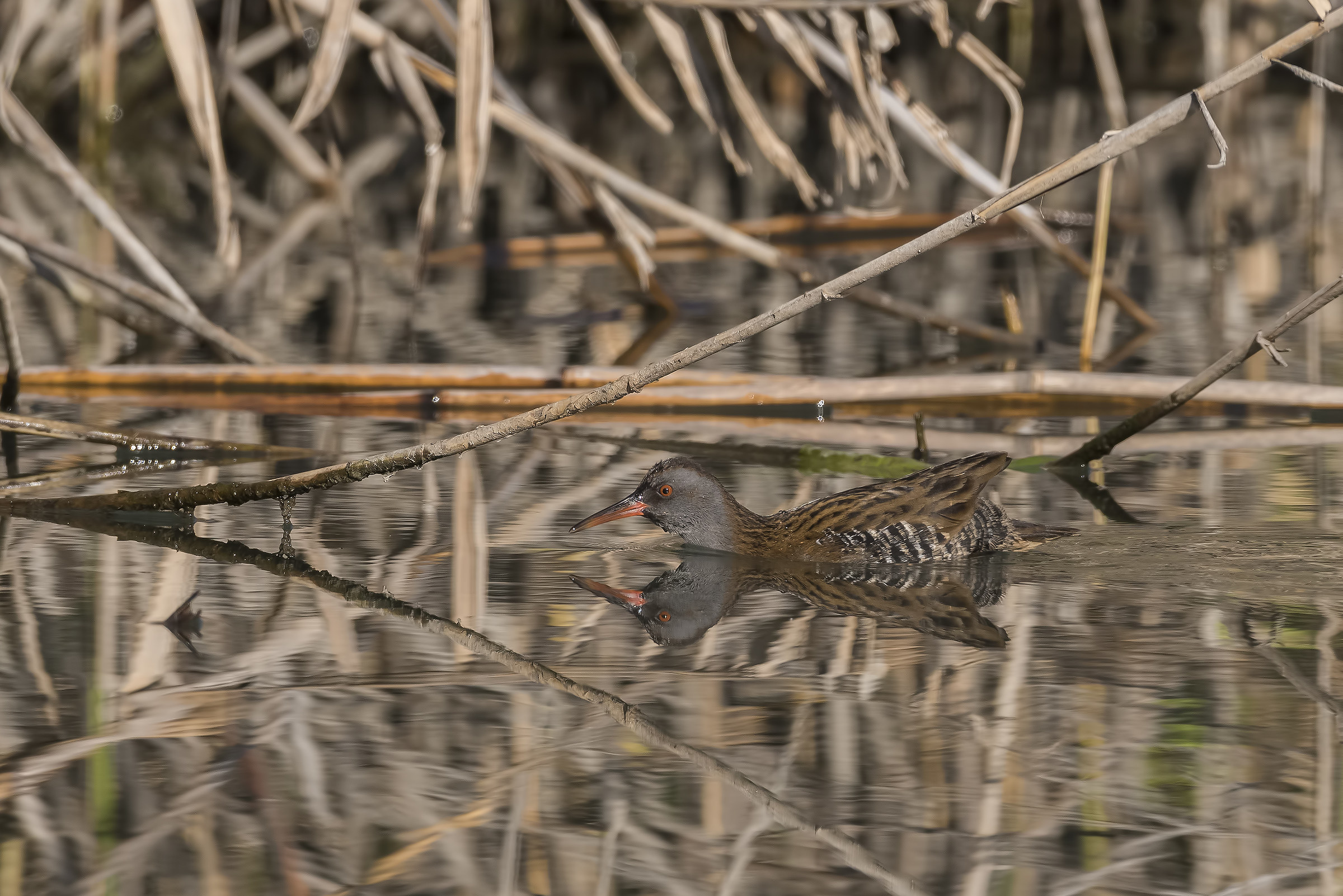 Mirror in the mirror