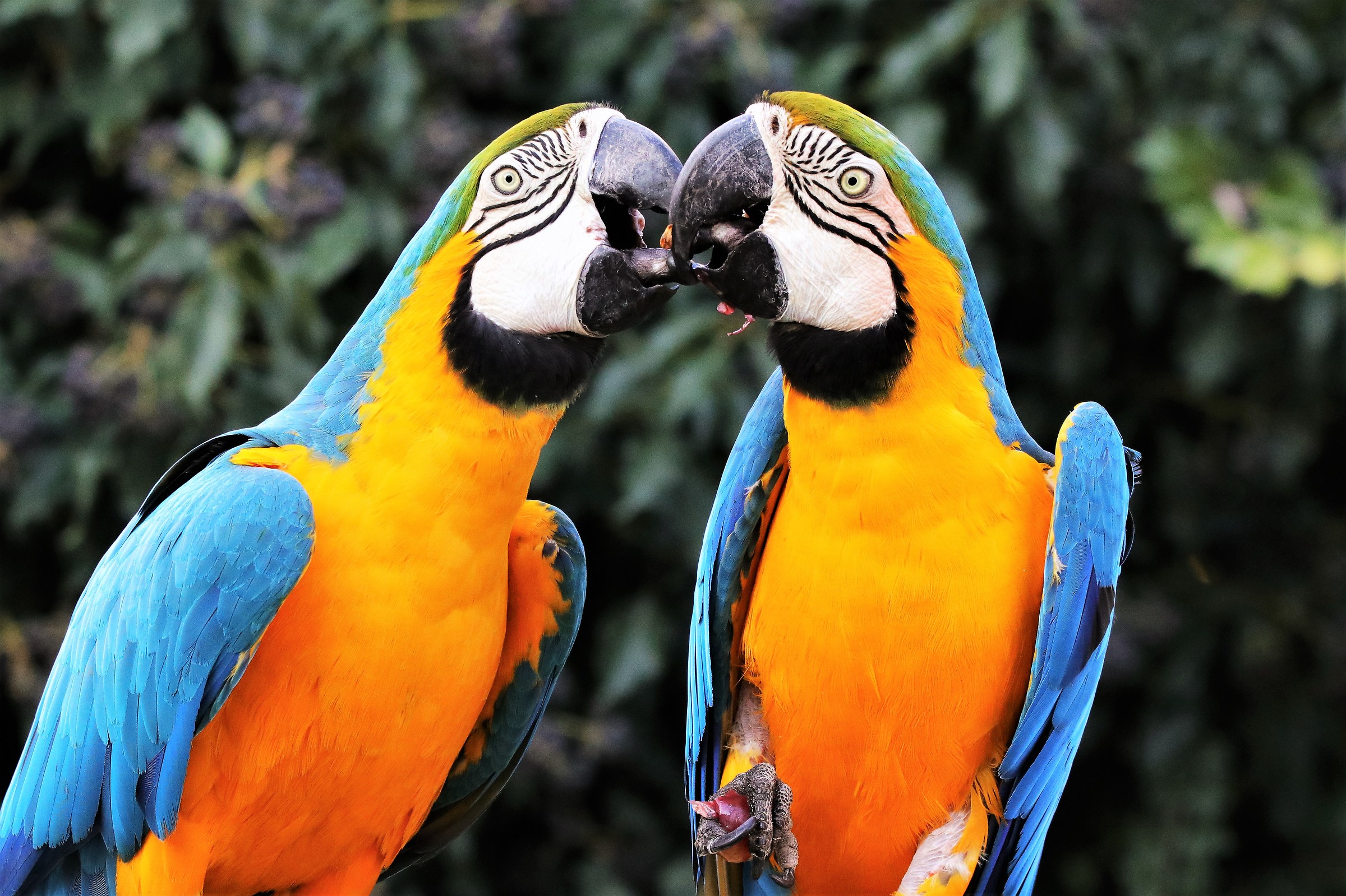 Tempo di condividere