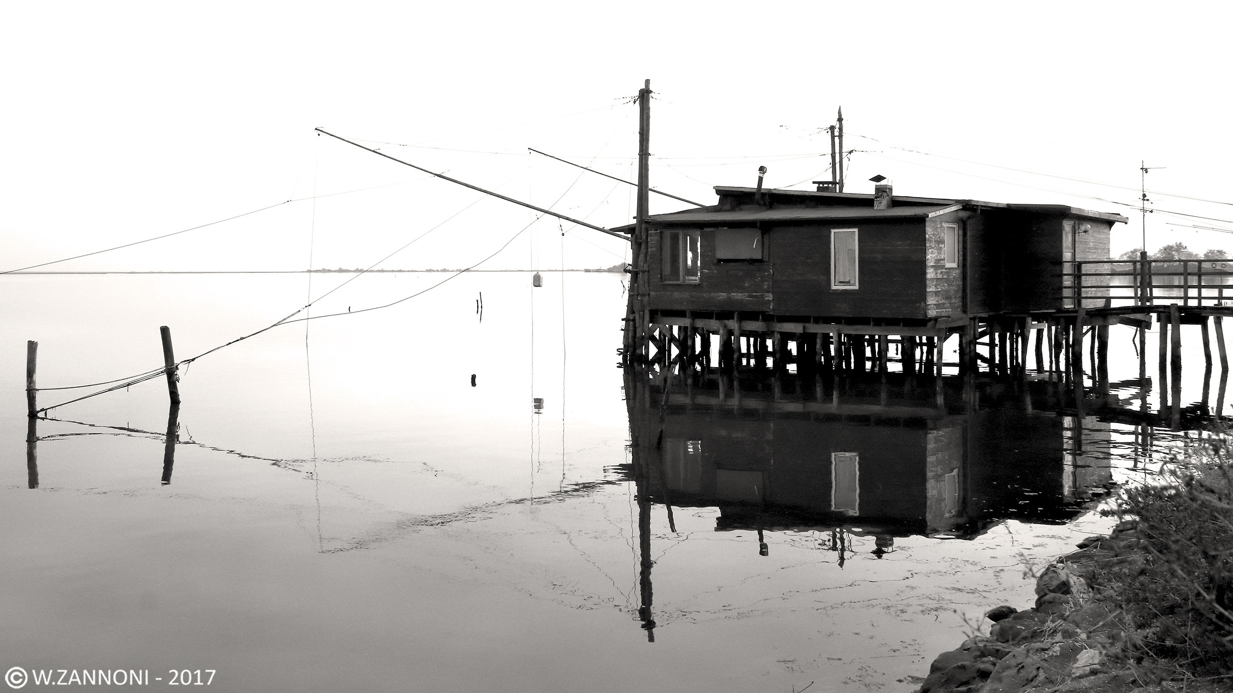 In the Valleys of Comacchio