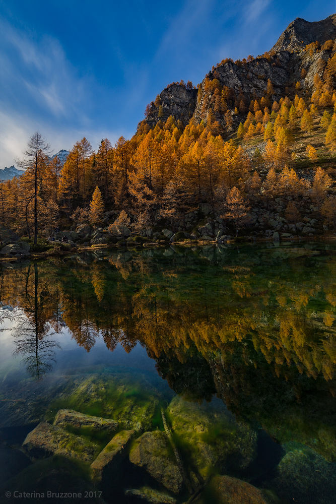 Witchcraft by Devero