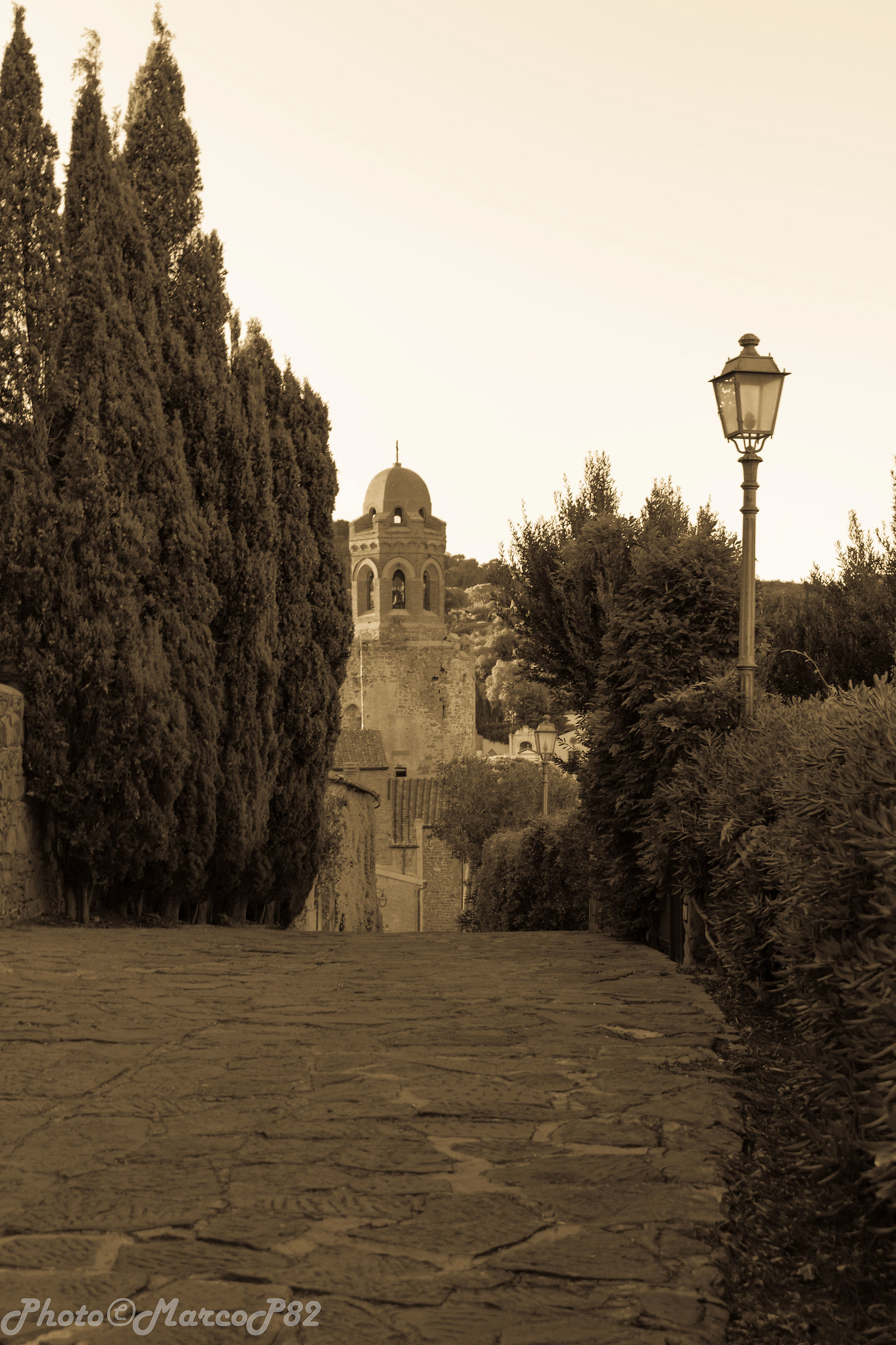 Scroll of Castiglione Della Pescaia