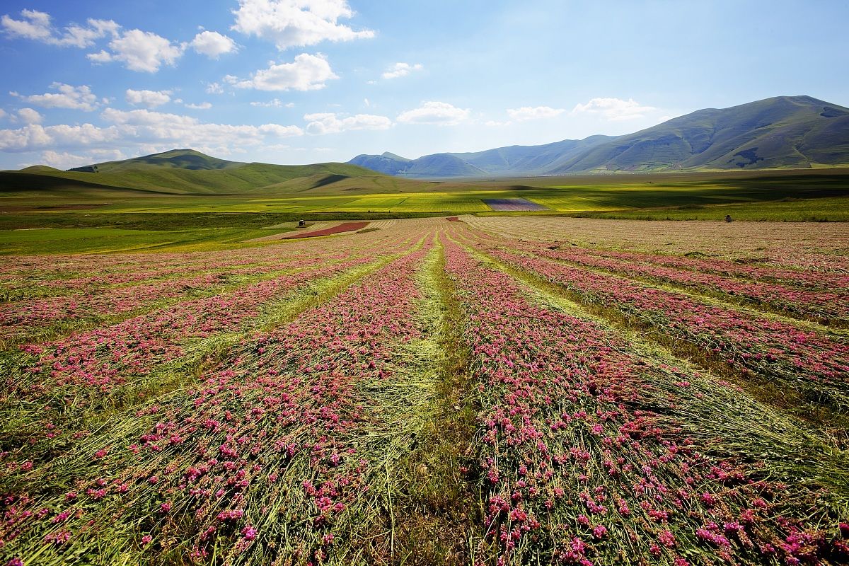 The plain of Castelluccio 3