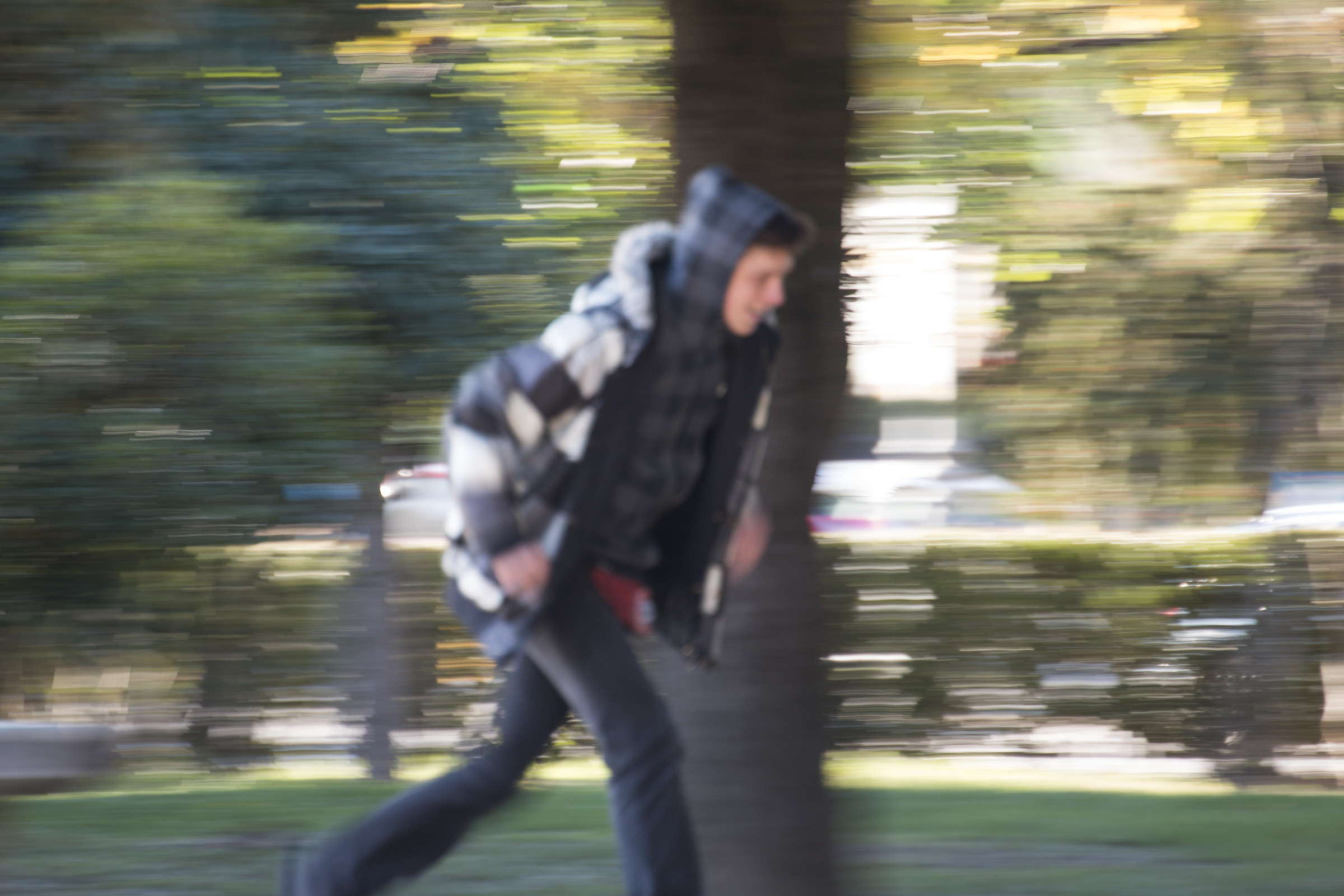 Flash in borghese...