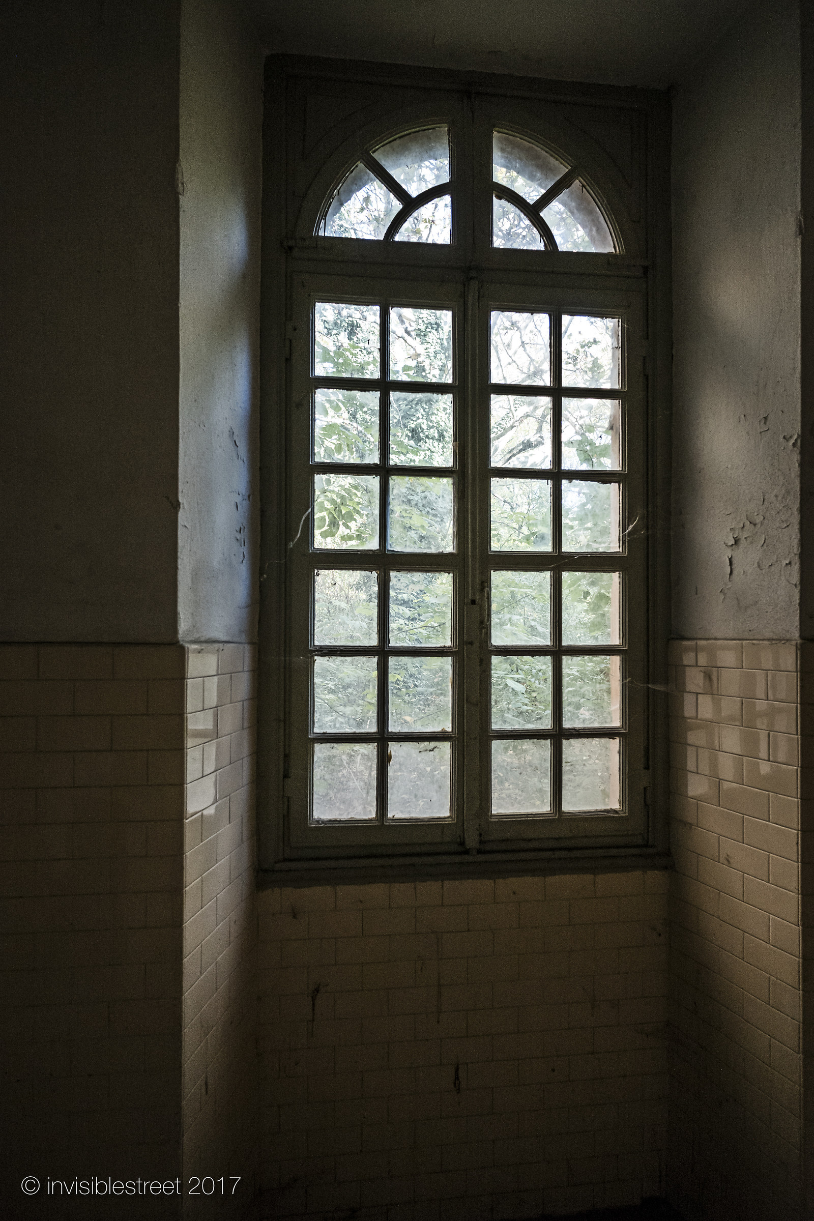 a window