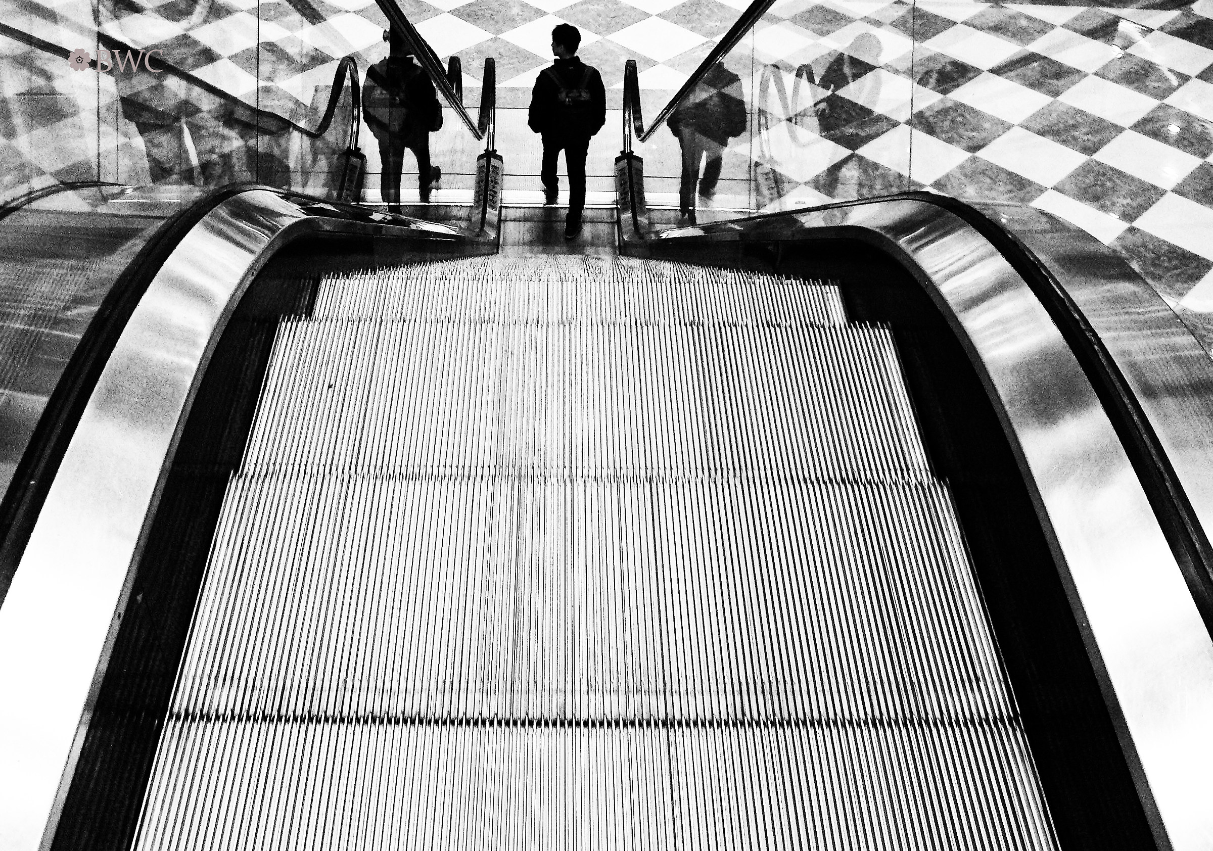 Guy Taking Elevator Alone