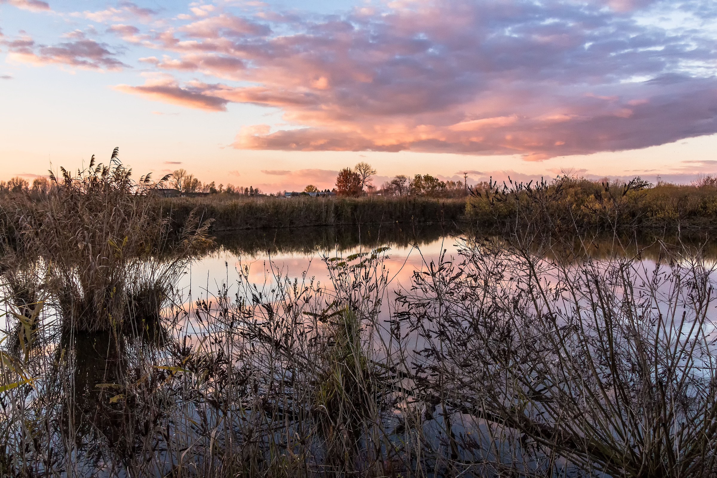 Away from narcisists