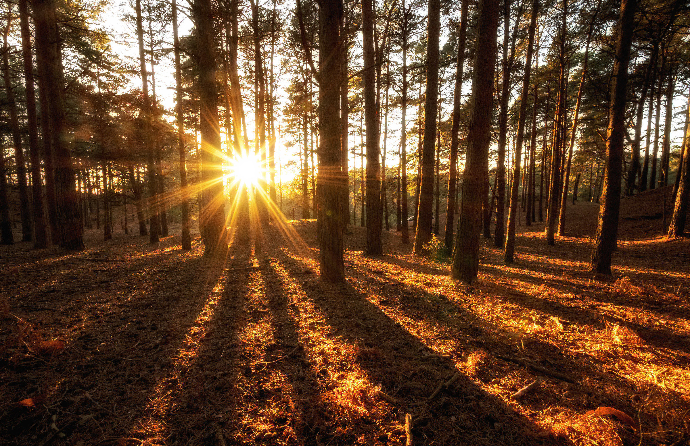 Ultimi raggi di luce solare
