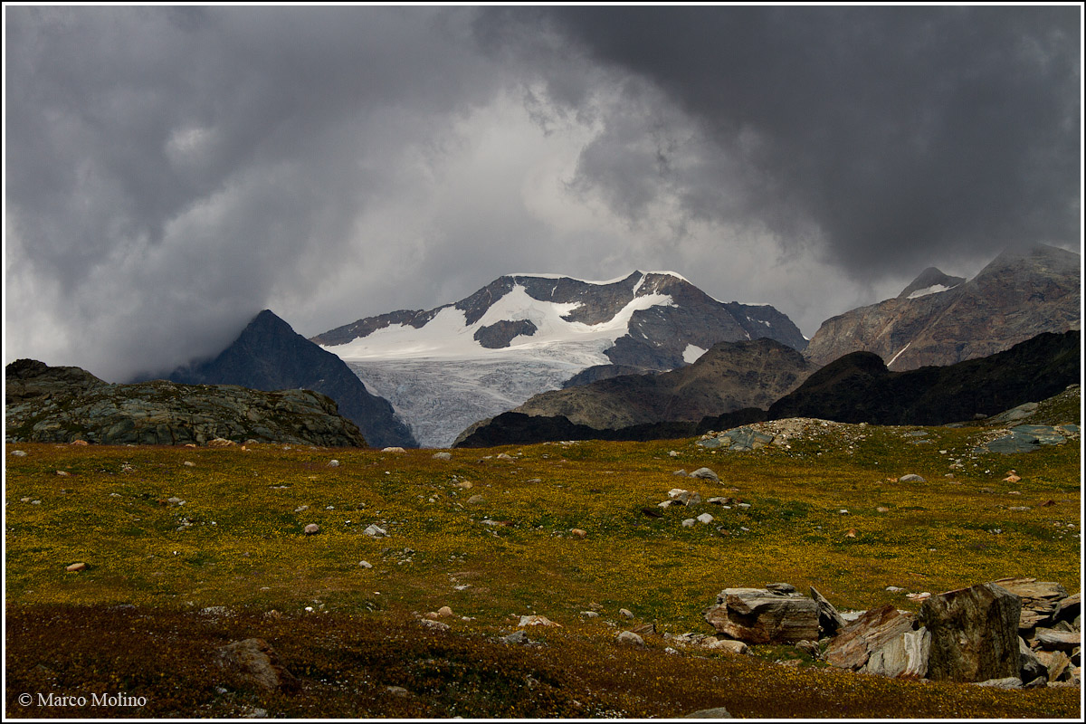 Valmalenco - Piz Palu from Step Canciano