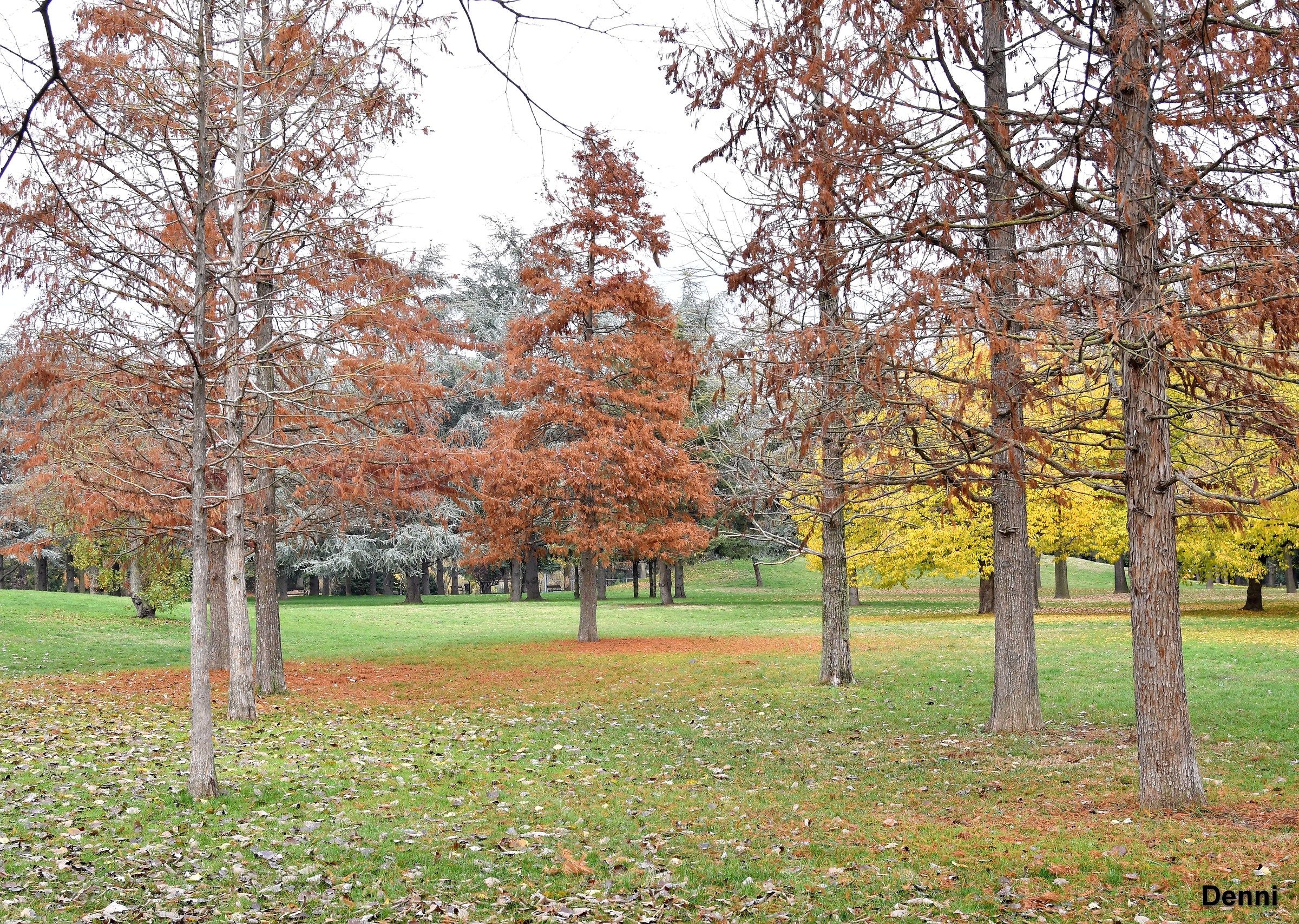 waiting for the boss