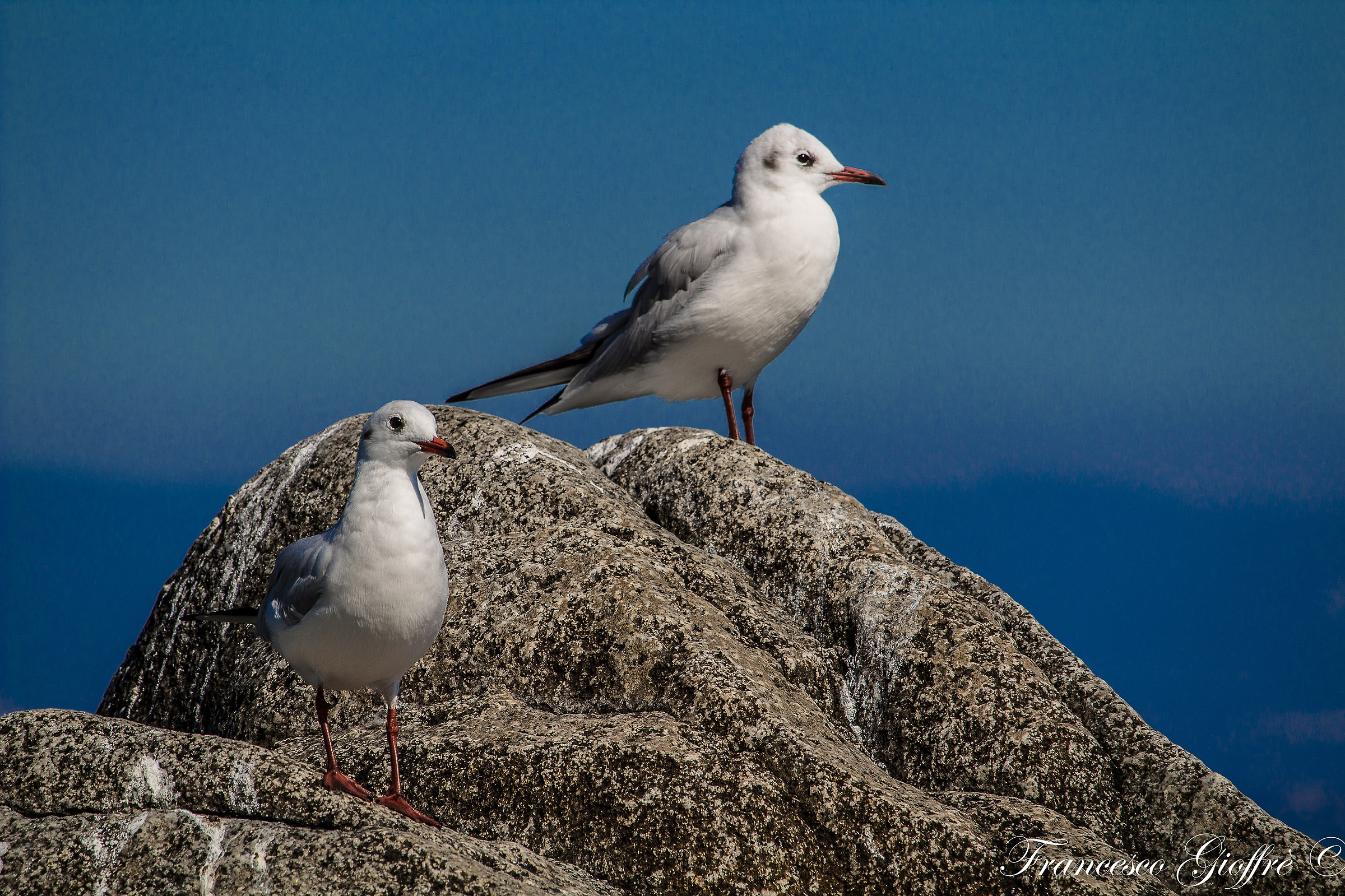 One above and one below