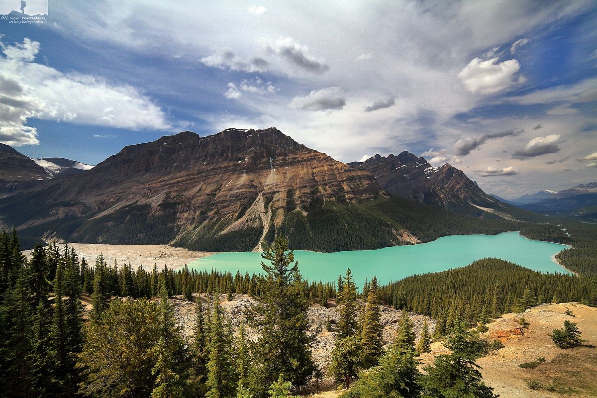 peyto lake
