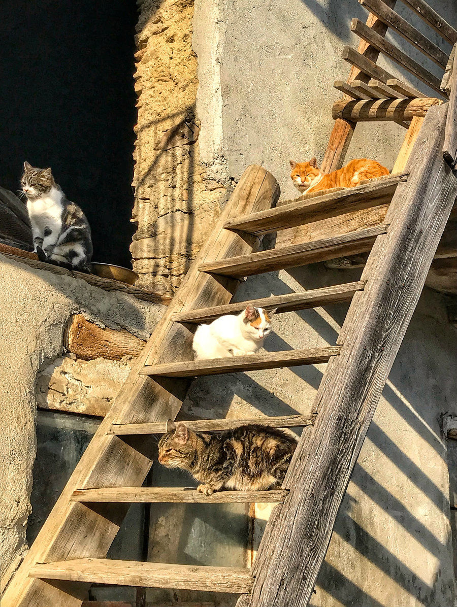 We were four friends ... in the sun