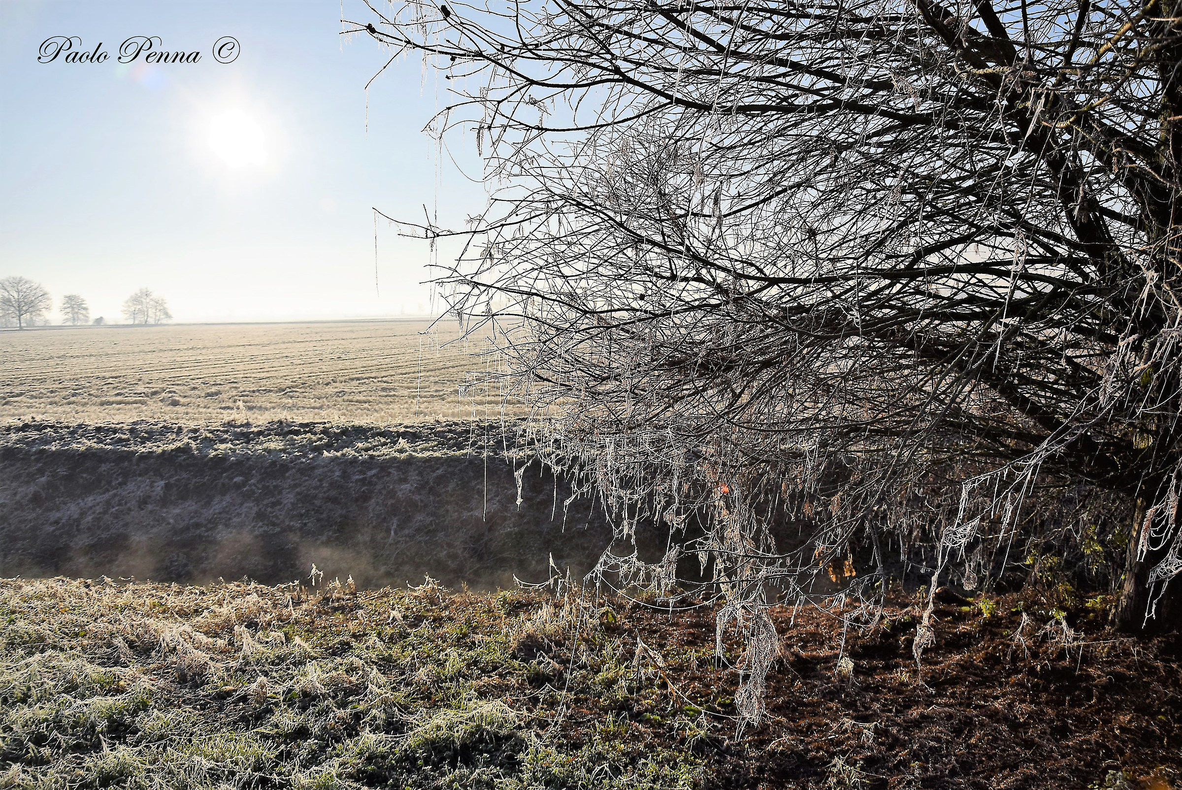 inverno in Lomellina