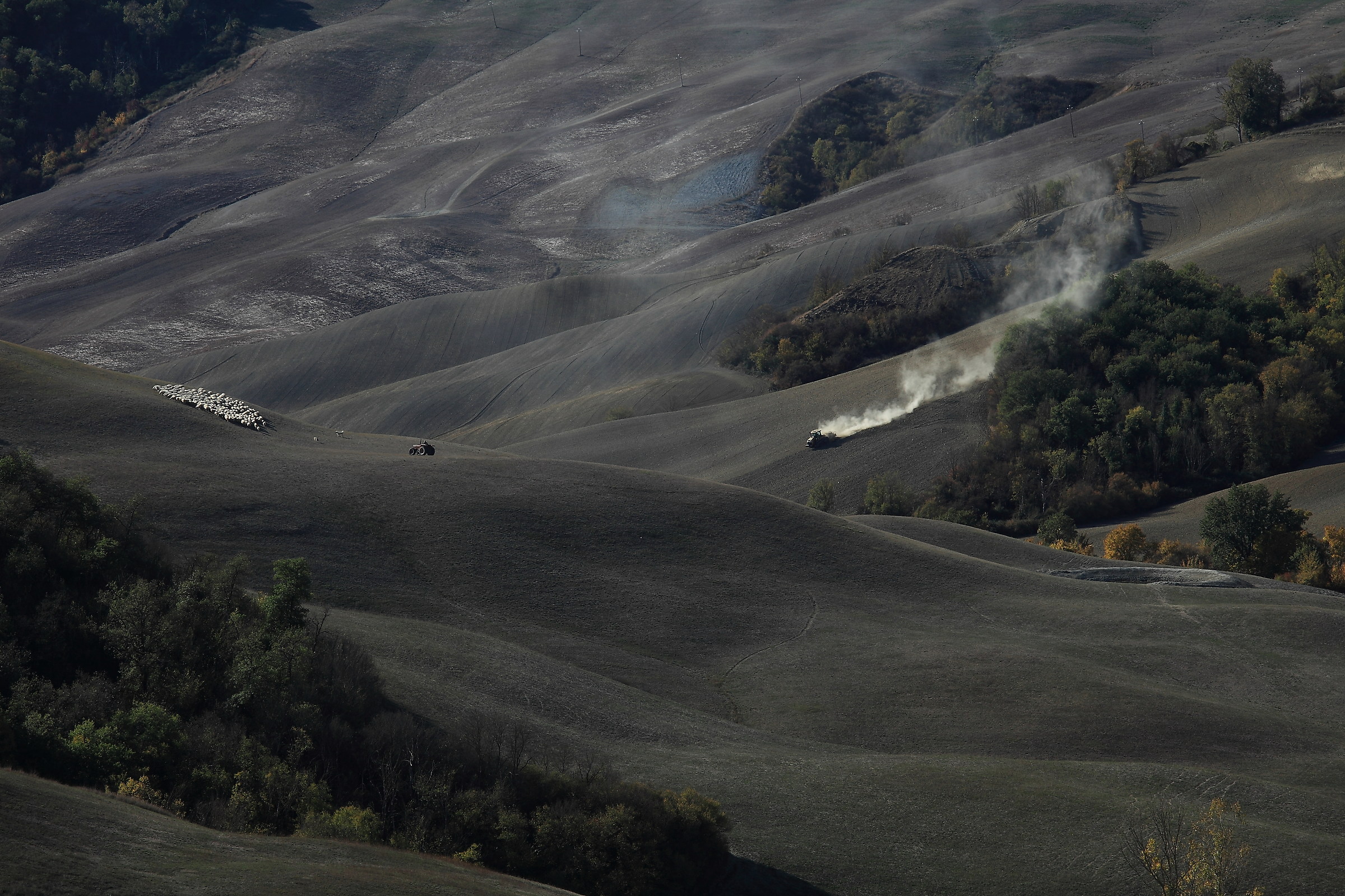 Il lavoro nei campi nelle Crete Senesi
