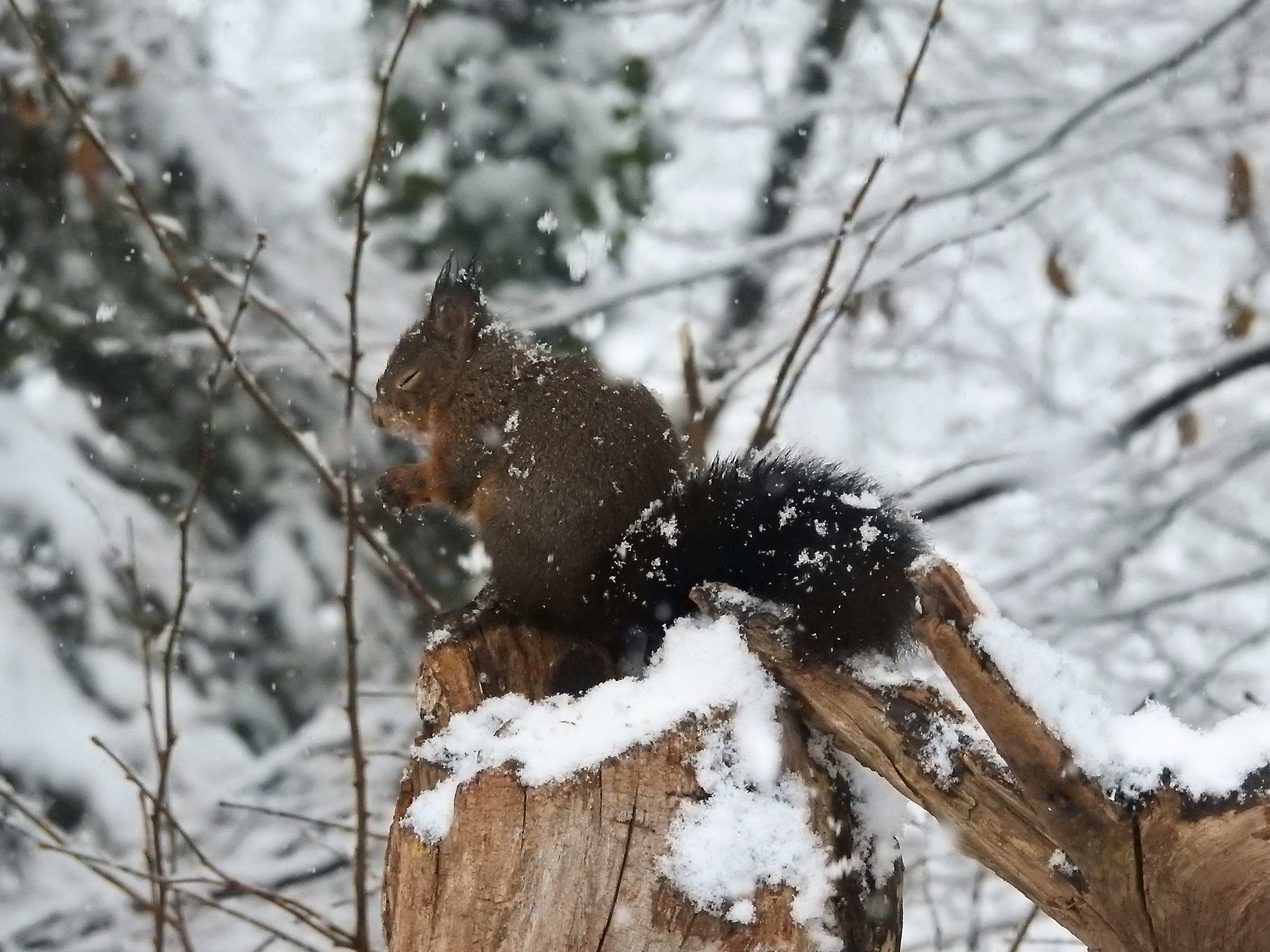 se andavo in letargo era meglio...