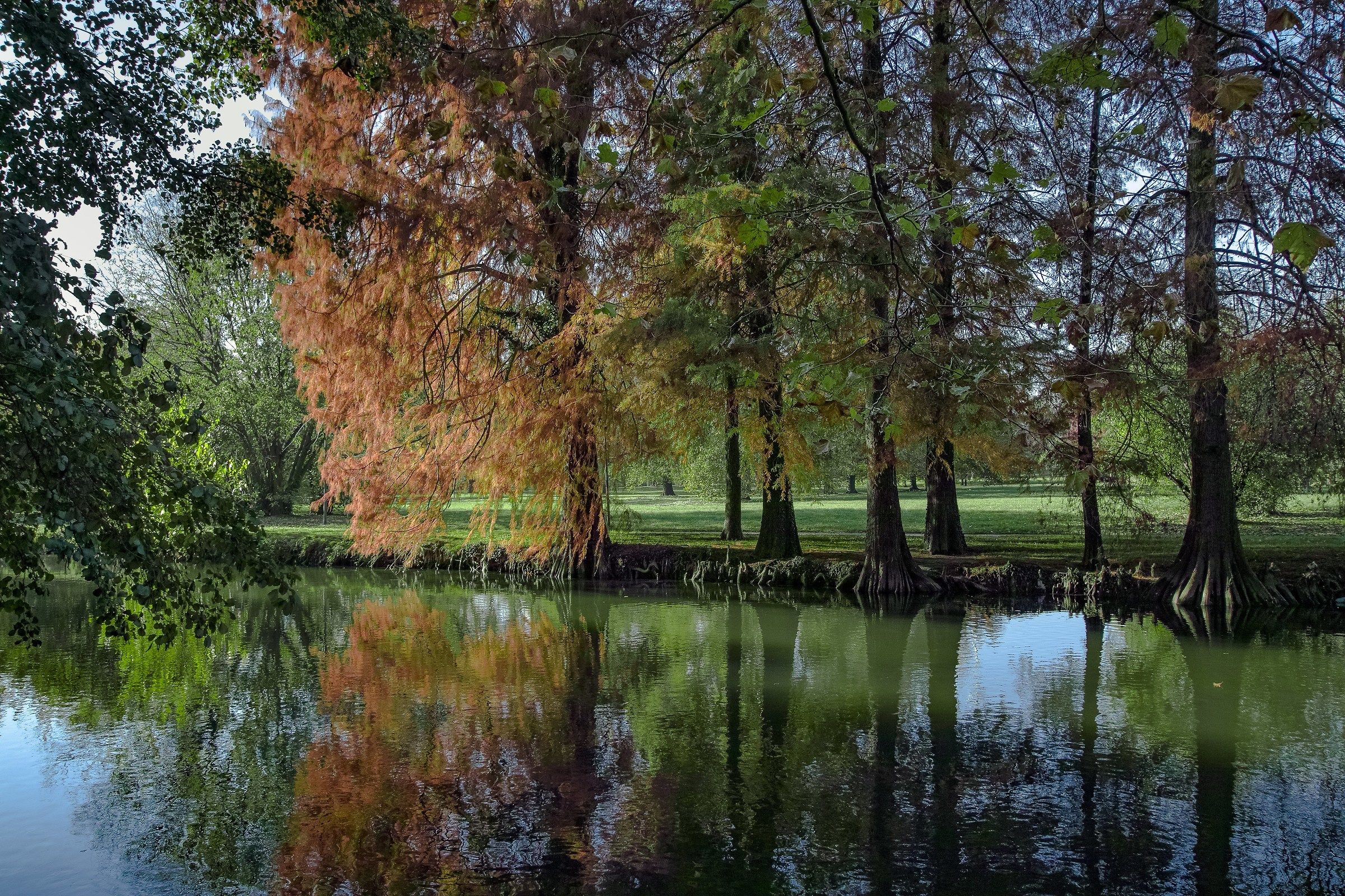 Parco Lambro in autunno