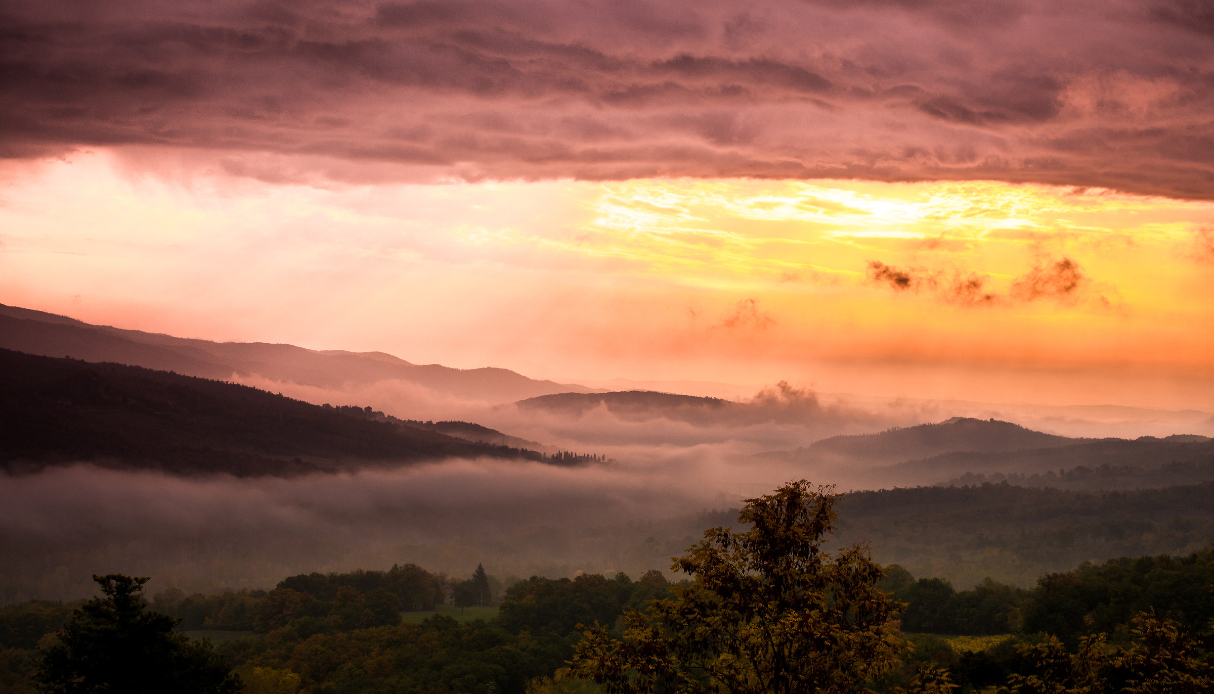 November, fog and colors.