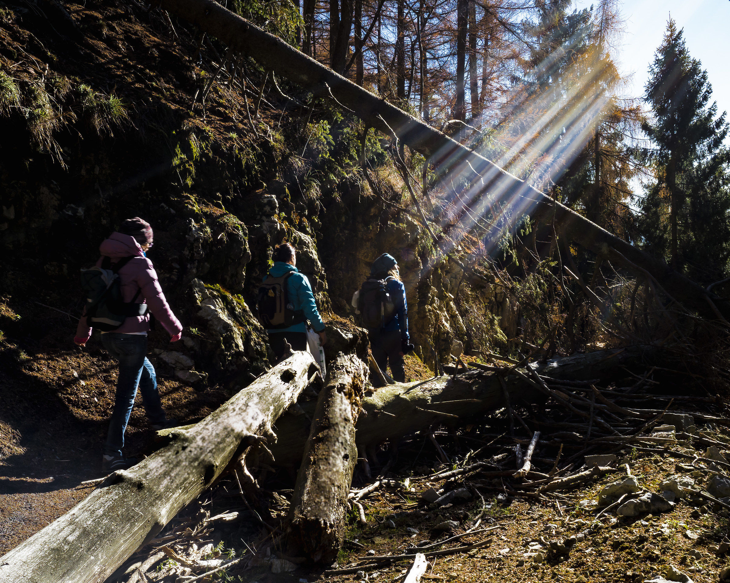 Cittiglio along the trails