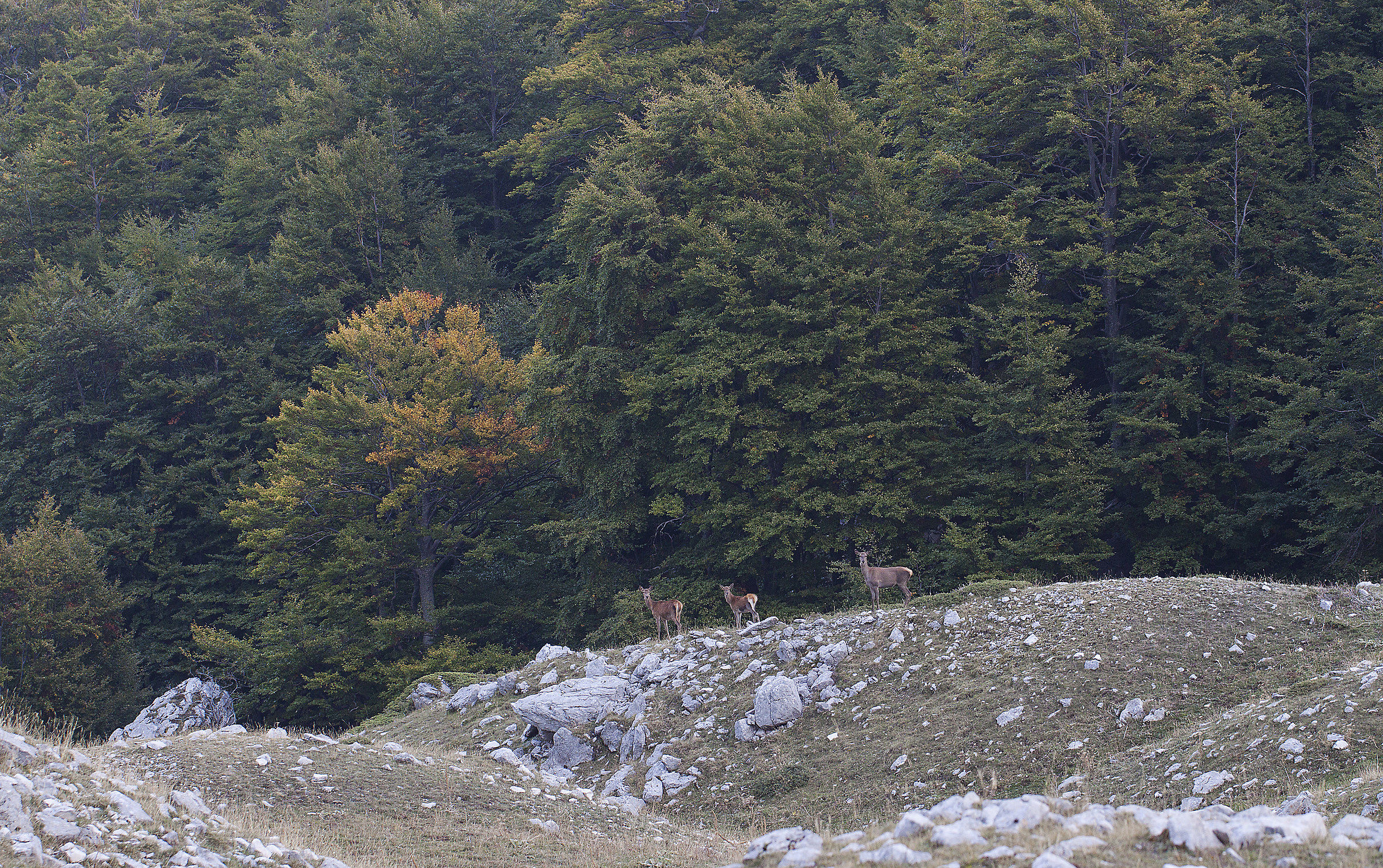 In cammino verso l'autunno