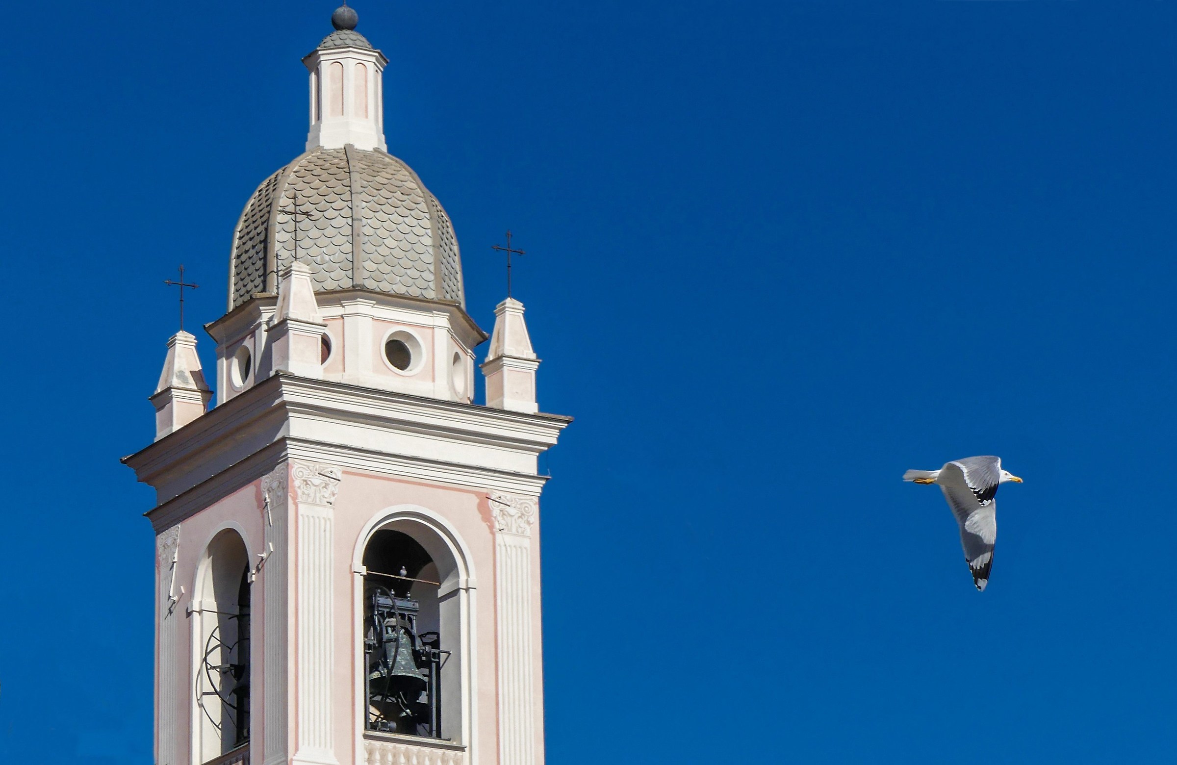 Gabbiano di Noli - SV