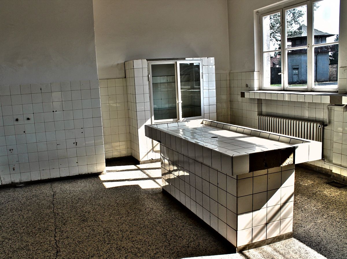 laboratory concentration camp