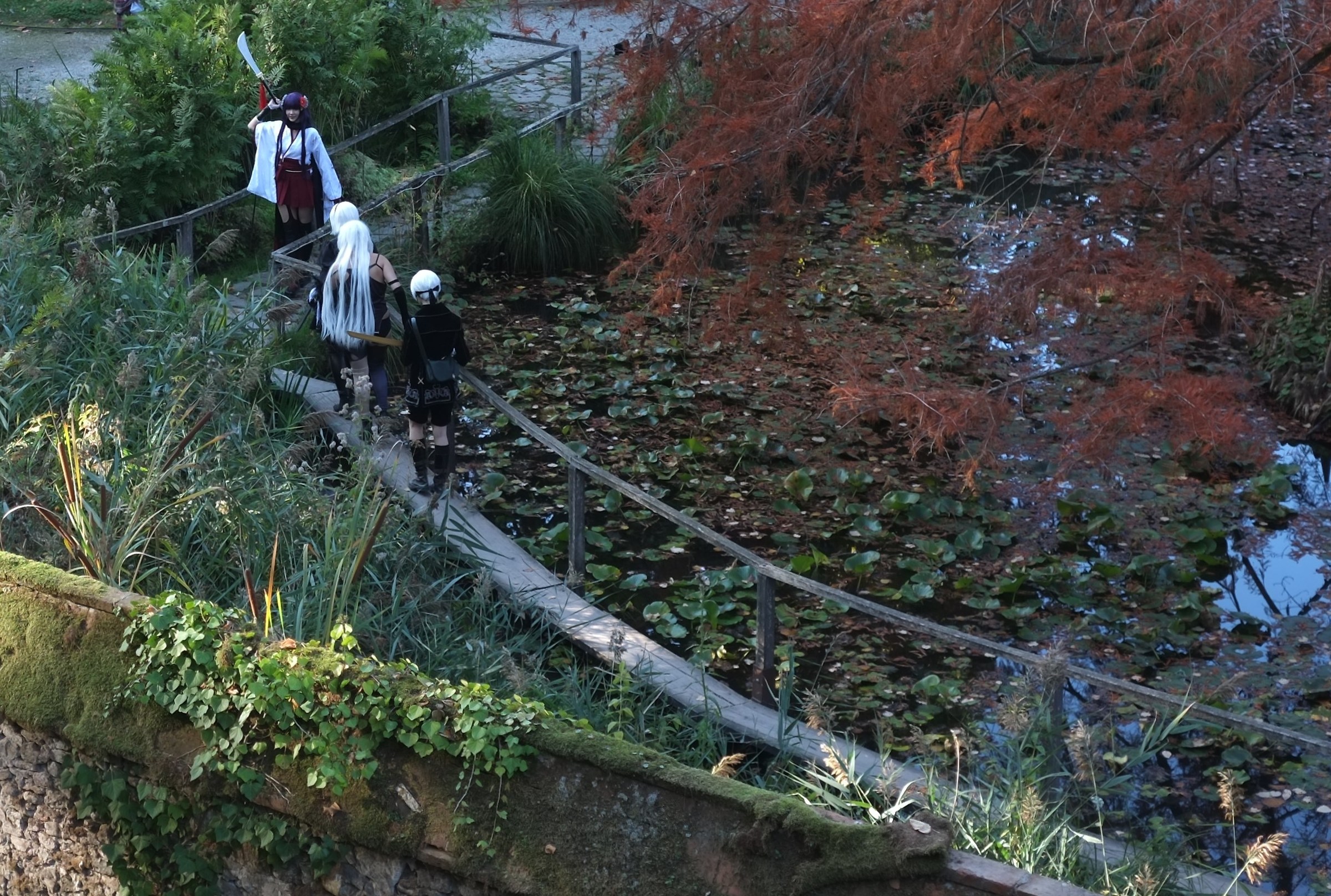 a pinch of Japan in Lucca