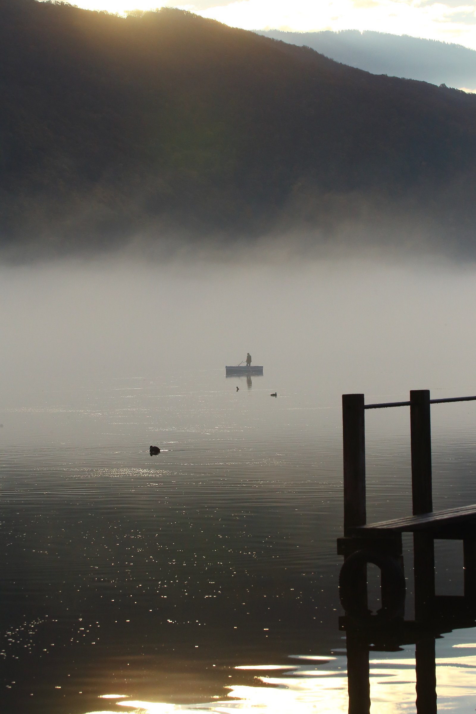 Nebbia al lago