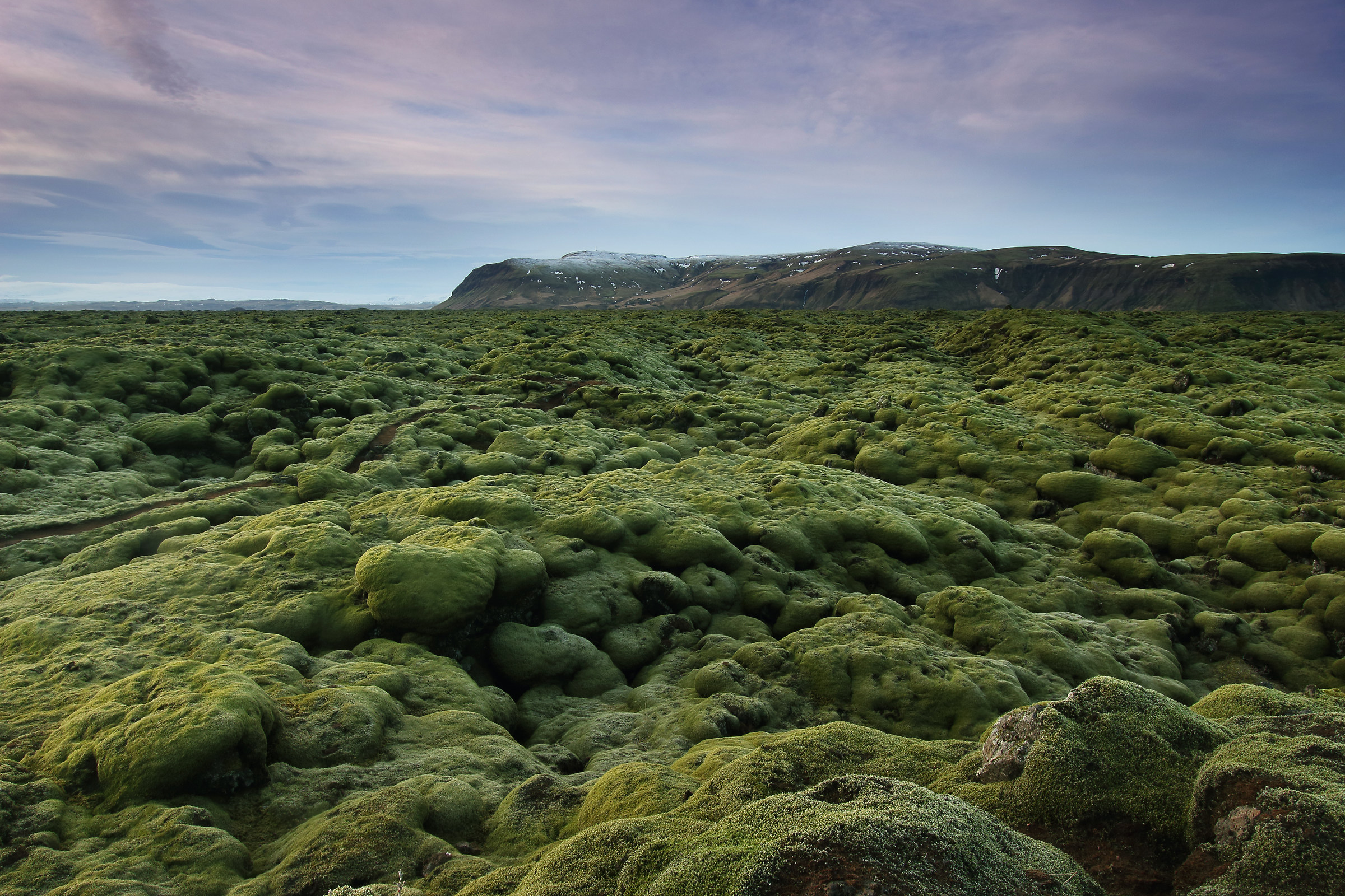 Infiniti moss pillows
