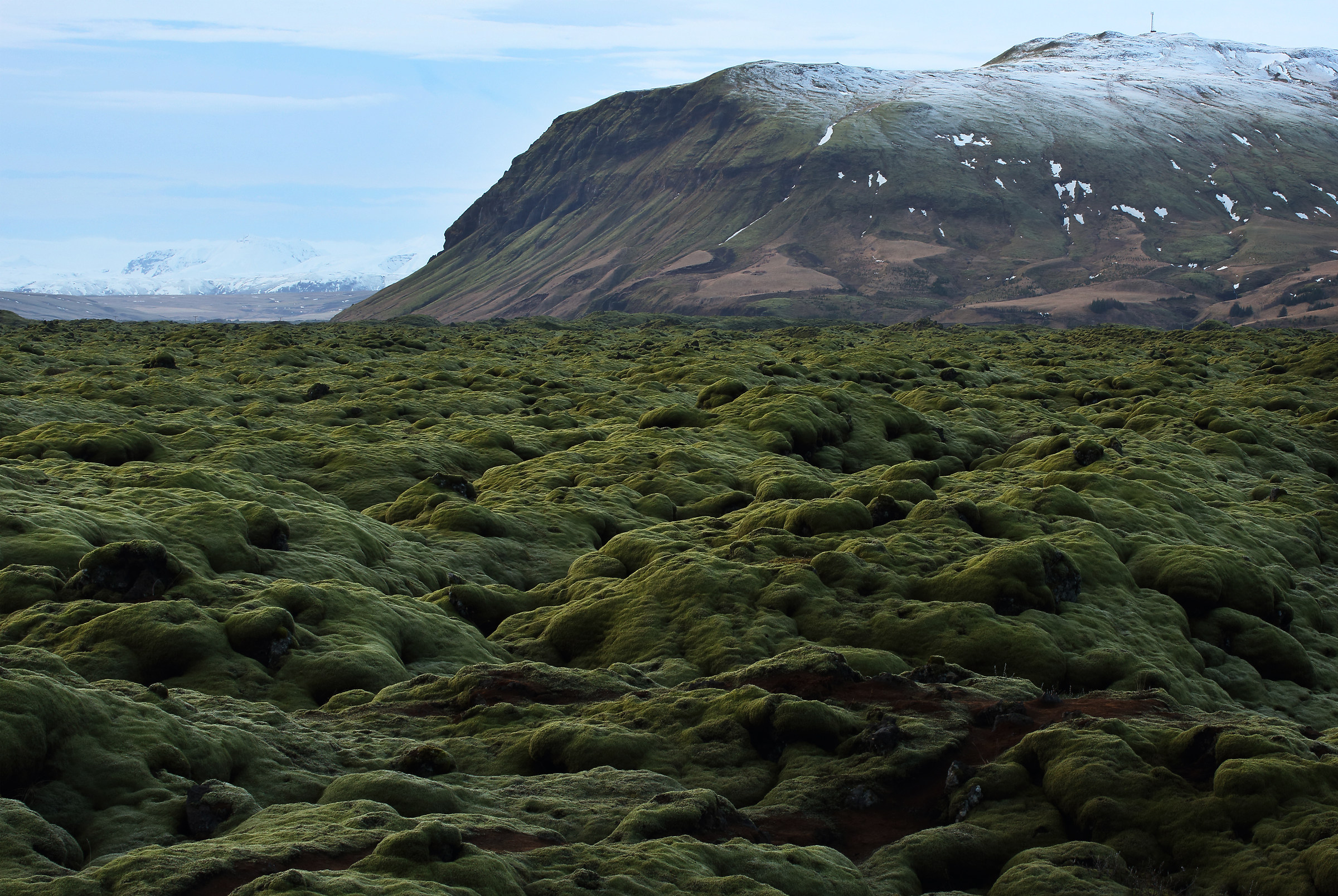 Pillows and panettons