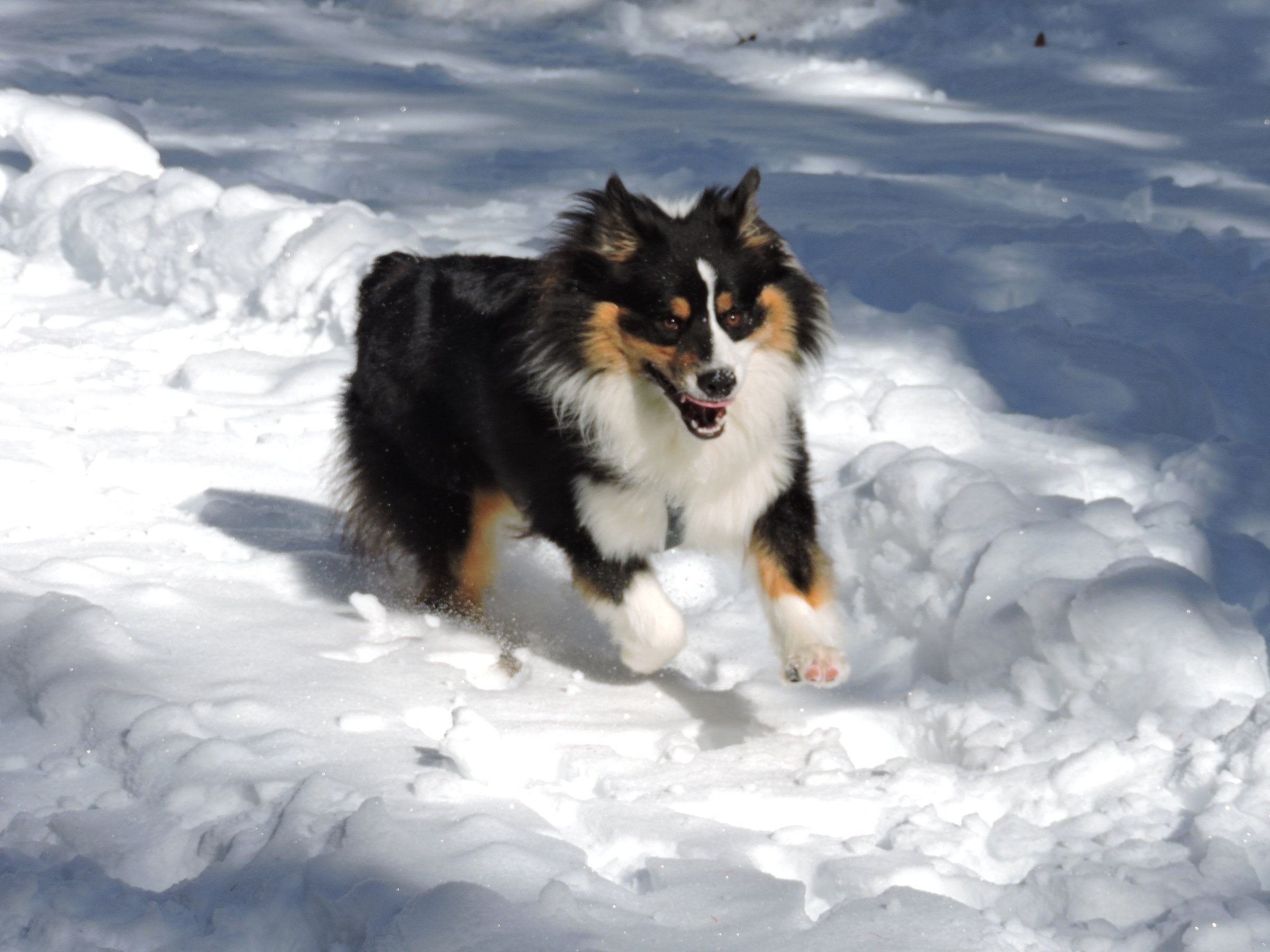 first time in the snow