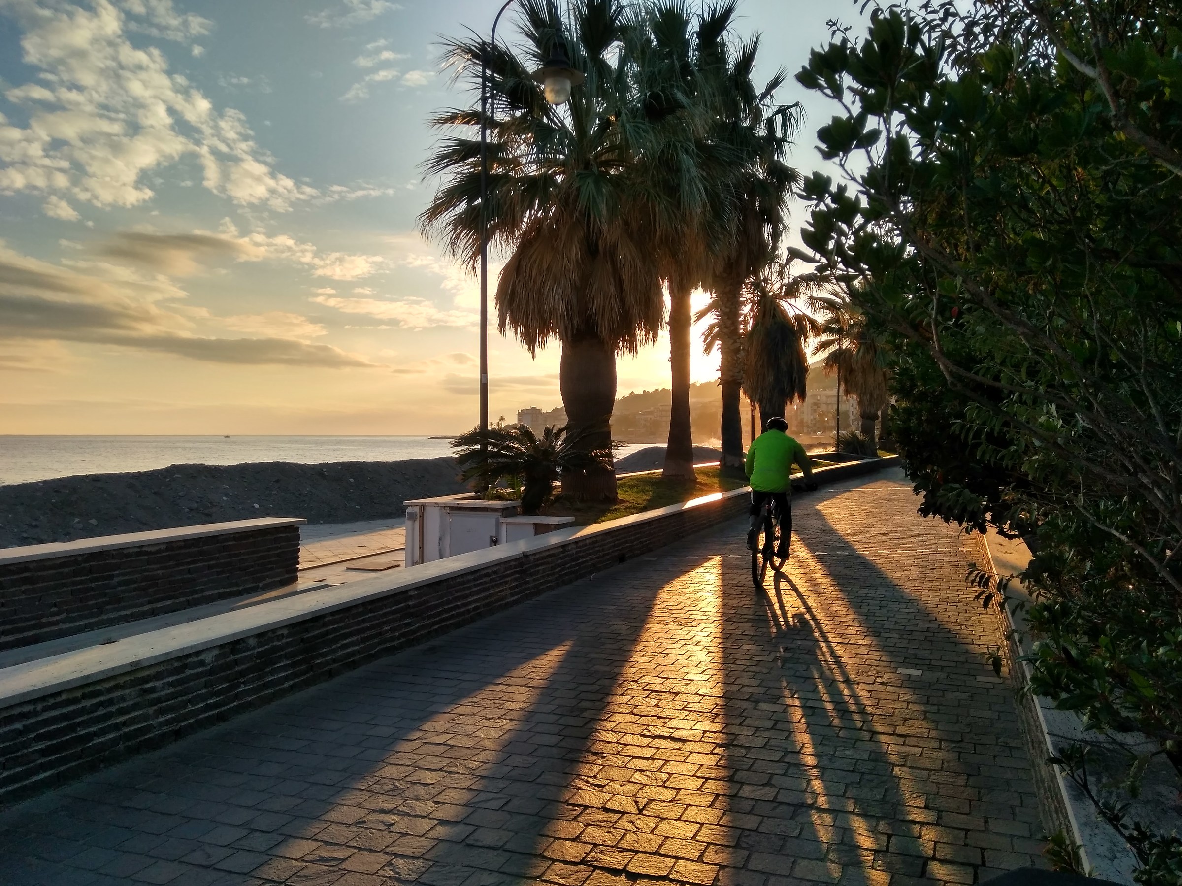 Le ombre lunghe della sera