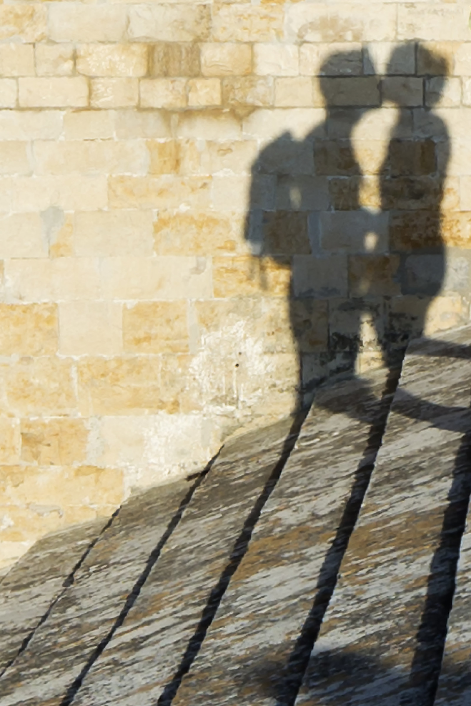 the kiss of the shadows