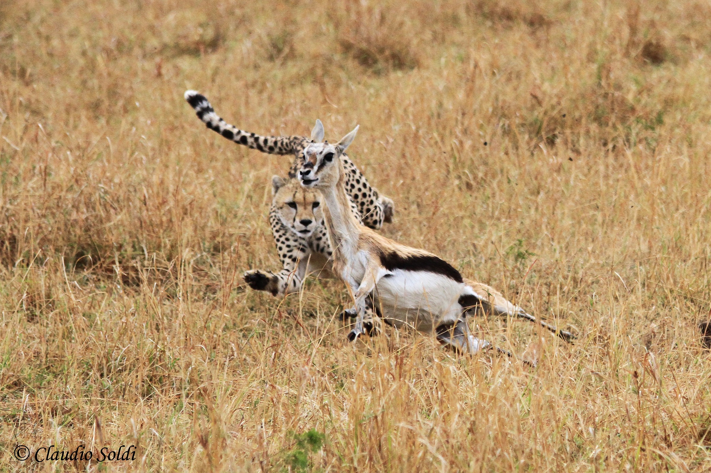 Opsss .... This is bad .....